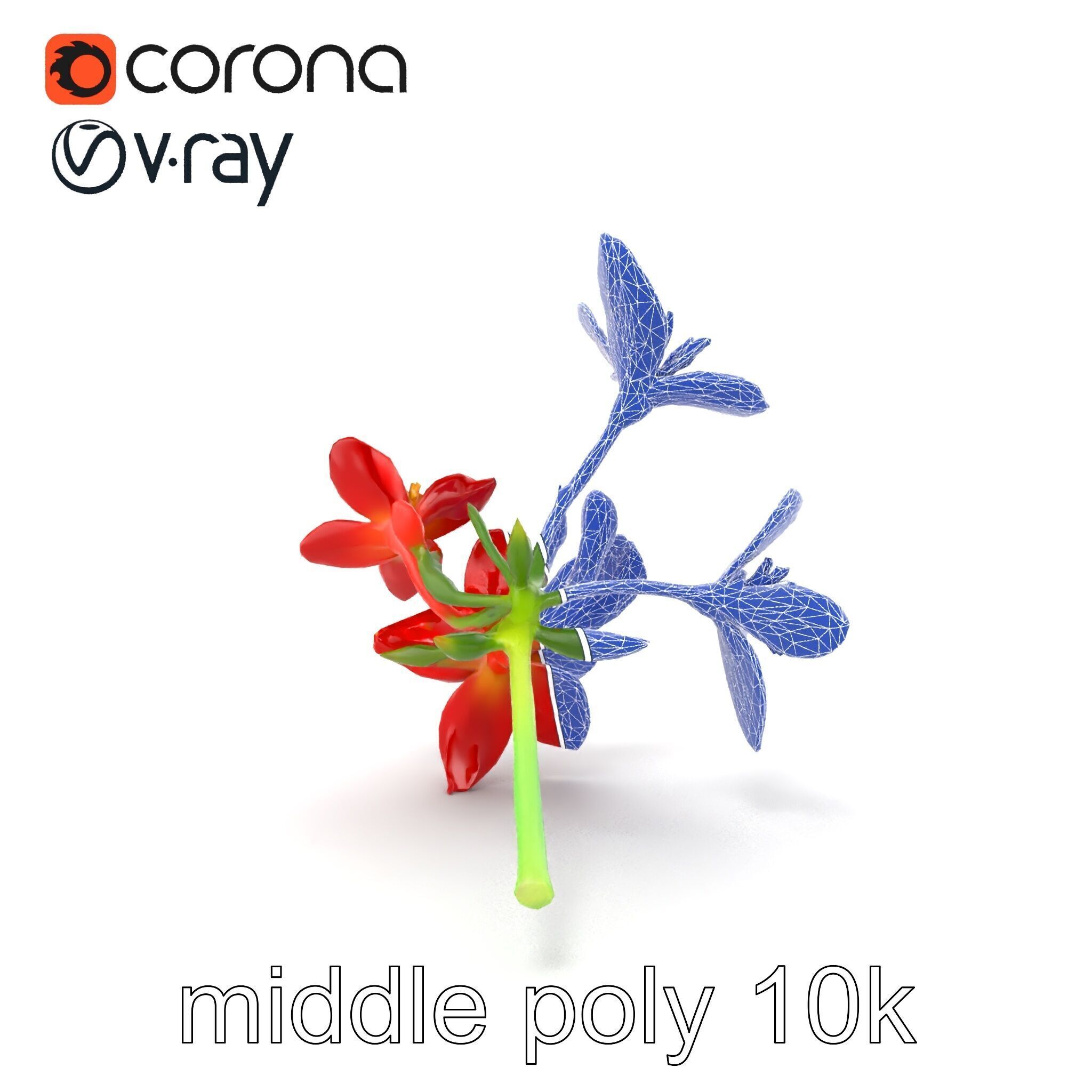 Dwarf Lily Floral Nature Sculpture model pack Low-poly 3D model_29