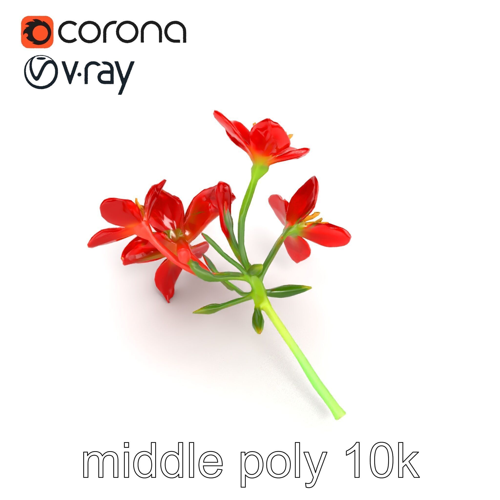 Dwarf Lily Floral Nature Sculpture model pack Low-poly 3D model_20