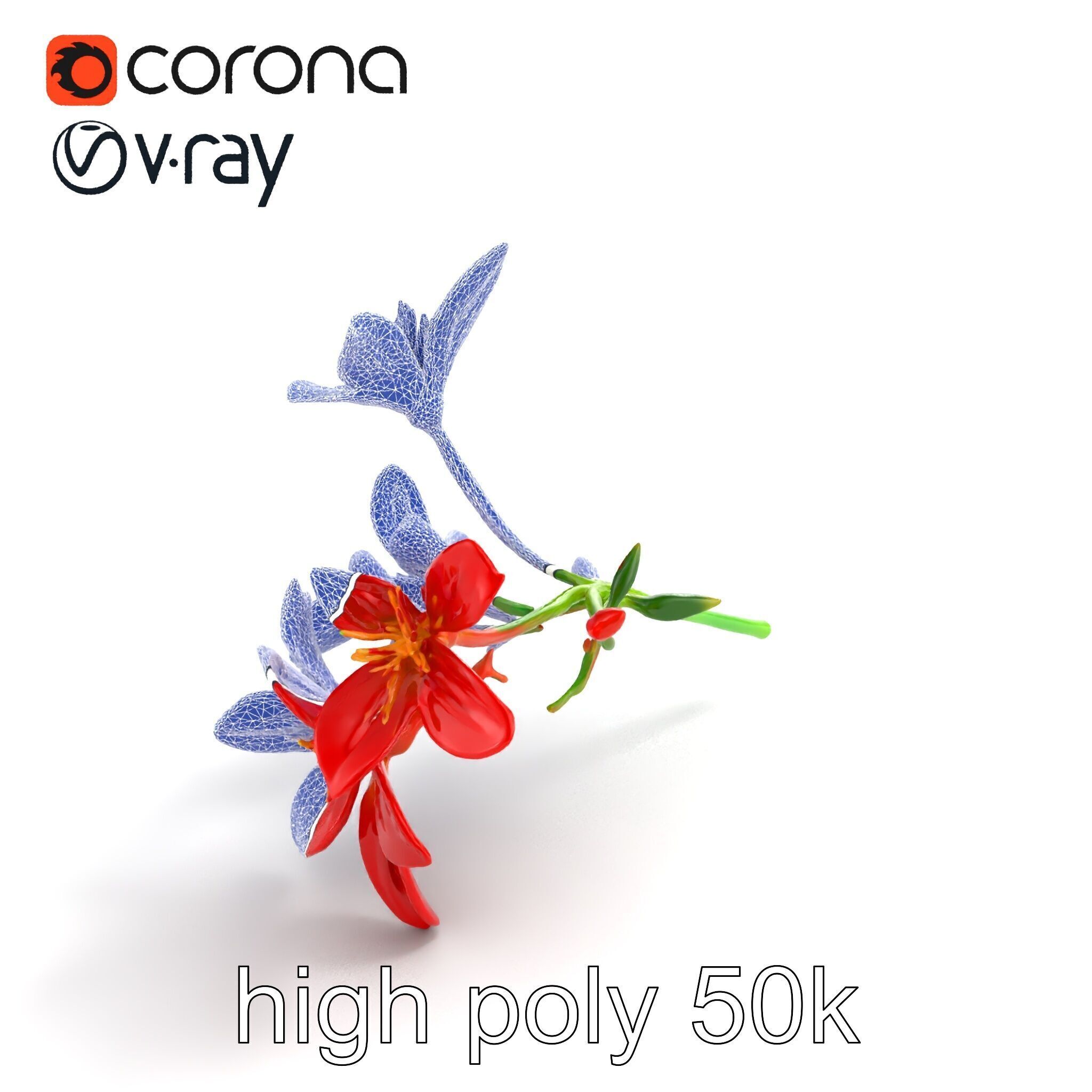 Dwarf Lily Floral Nature Sculpture model pack Low-poly 3D model_22