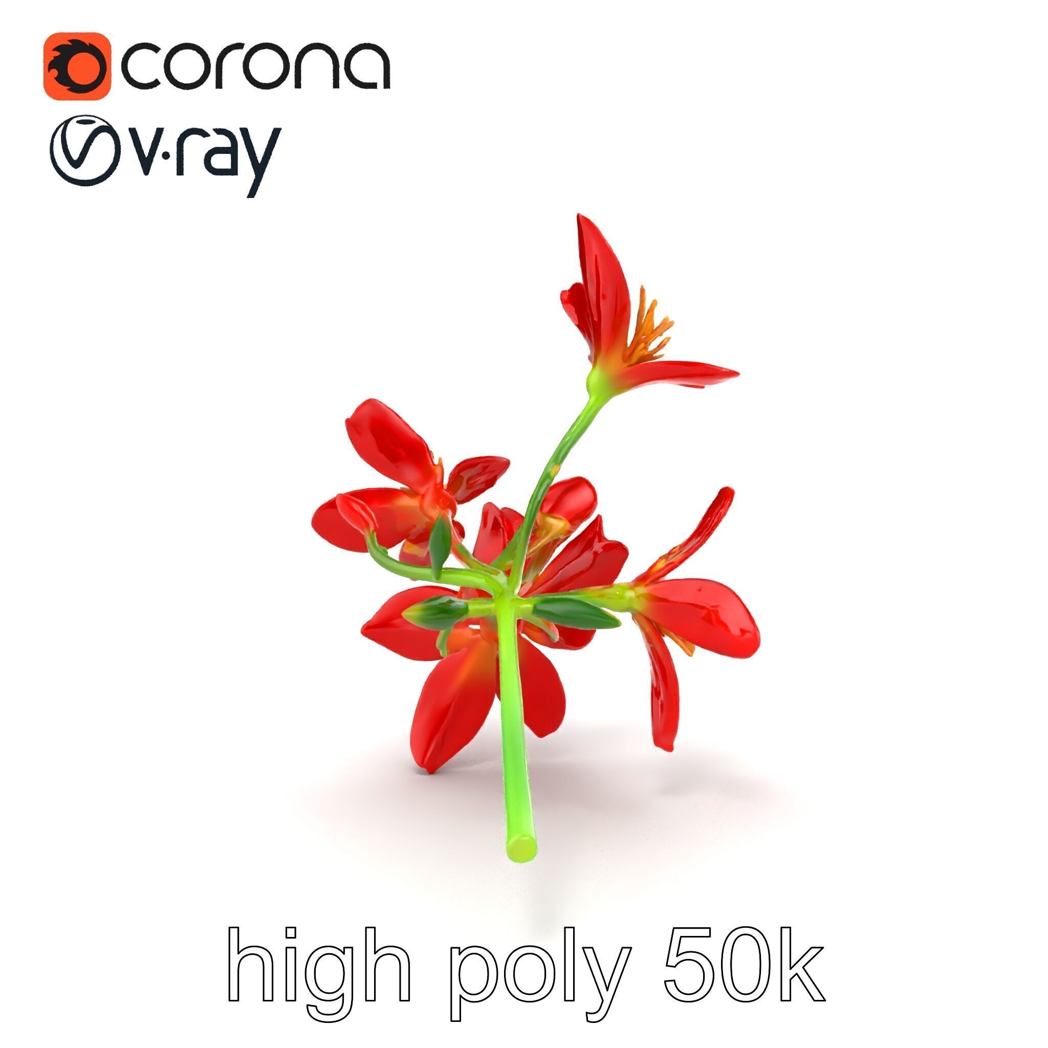 Dwarf Lily Floral Nature Sculpture model pack Low-poly 3D model_31