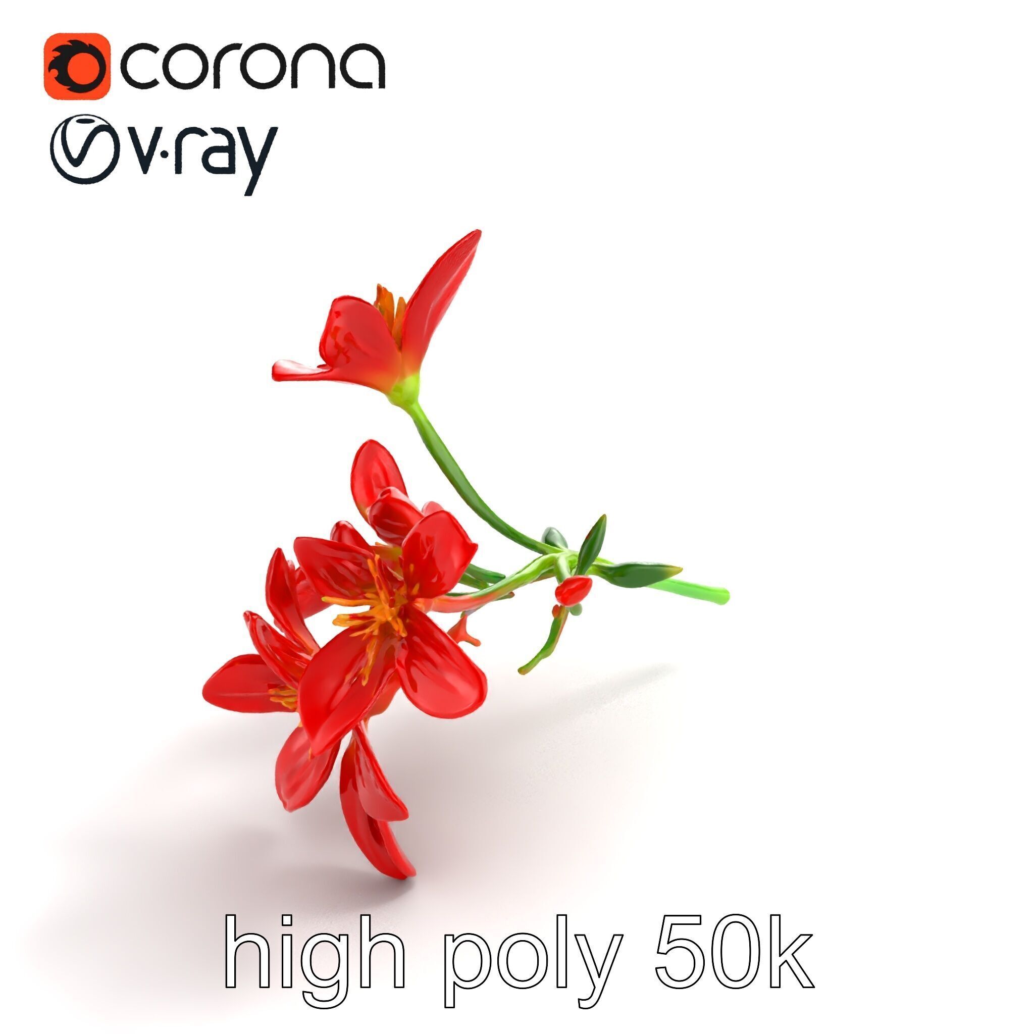 Dwarf Lily Floral Nature Sculpture model pack Low-poly 3D model_30
