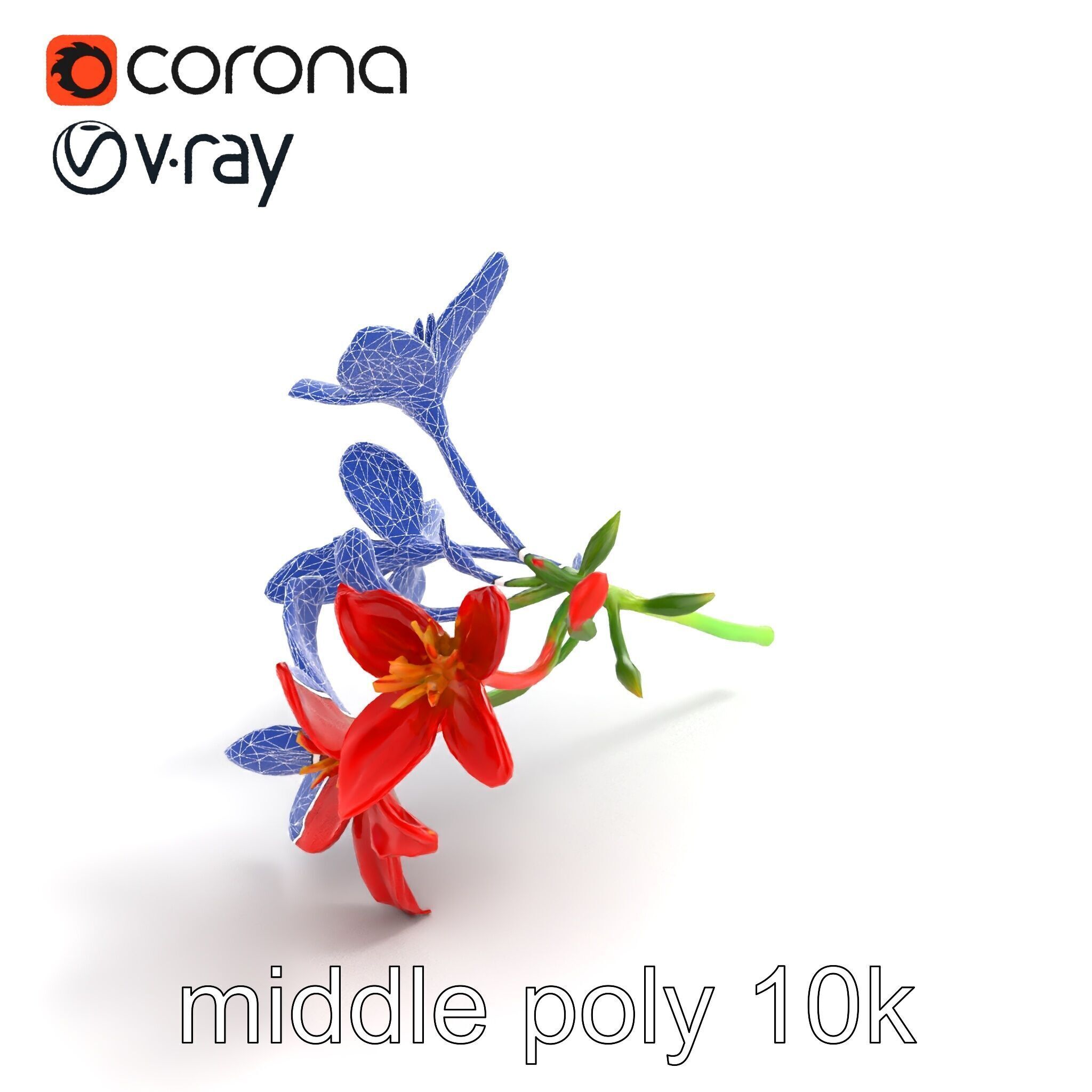 Dwarf Lily Floral Nature Sculpture model pack Low-poly 3D model_11