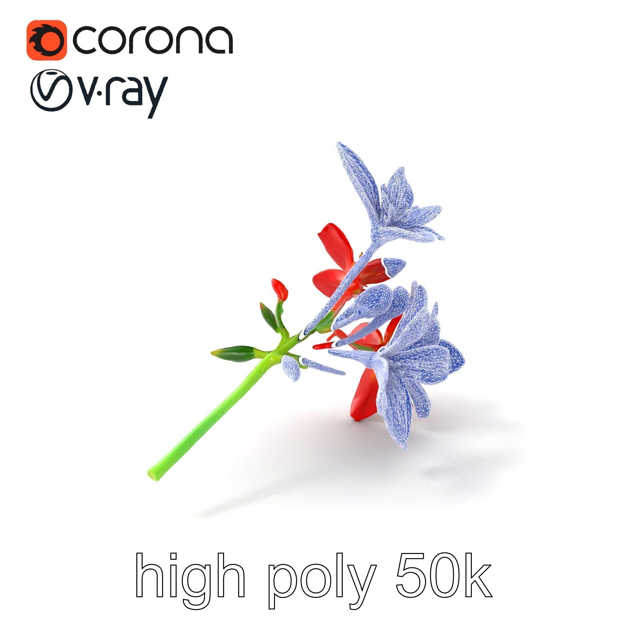Dwarf Lily Floral Nature Sculpture model pack Low-poly 3D model_10