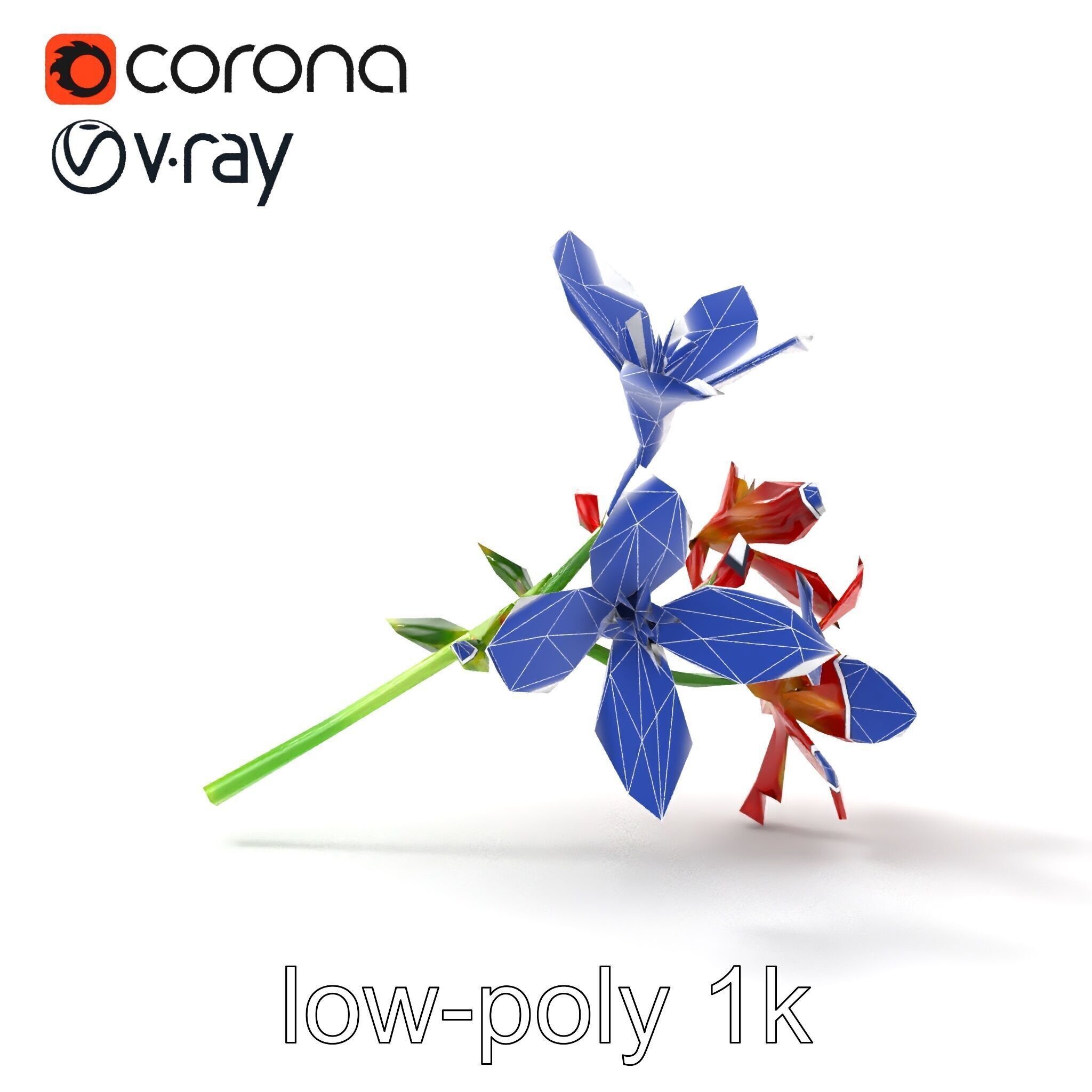 Dwarf Lily Floral Nature Sculpture model pack Low-poly 3D model_19