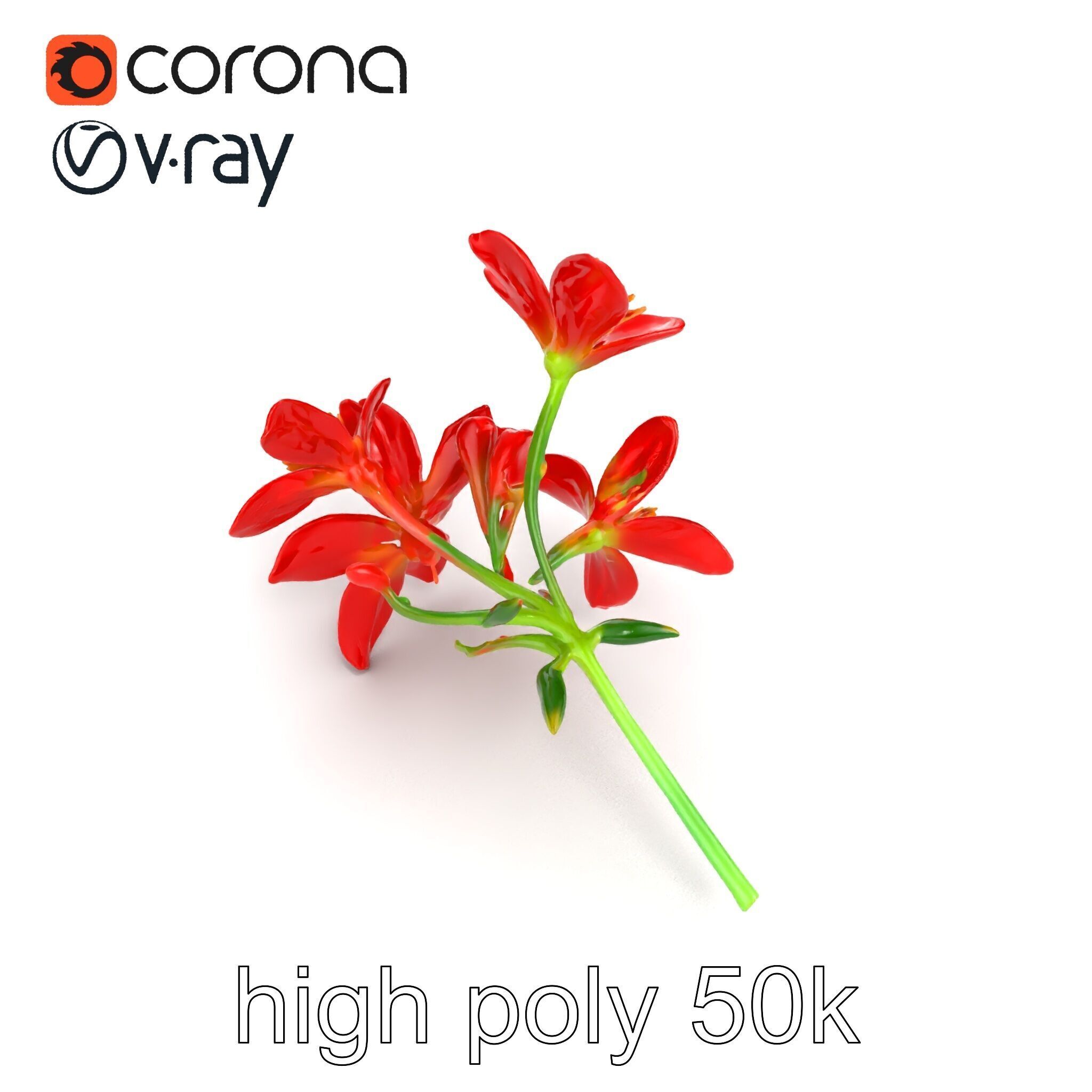 Dwarf Lily Floral Nature Sculpture model pack Low-poly 3D model_18