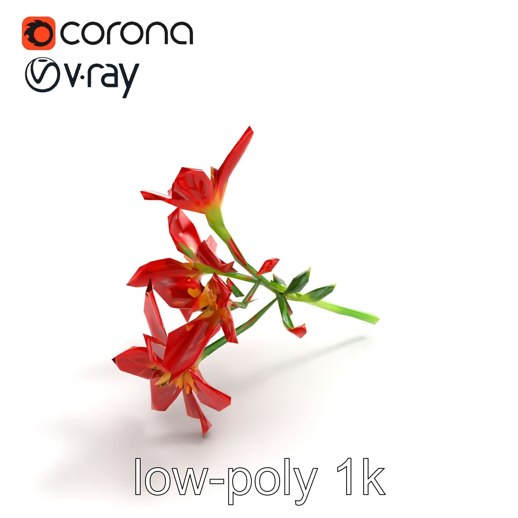Dwarf Lily Floral Nature Sculpture model pack Low-poly 3D model_9