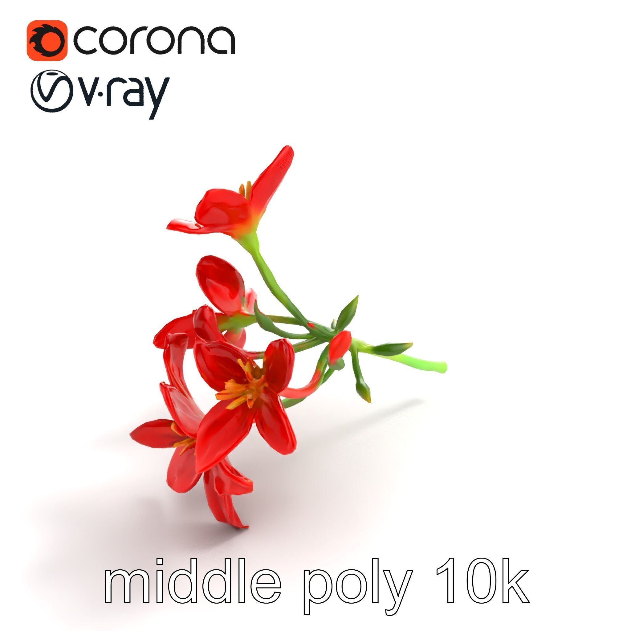 Dwarf Lily Floral Nature Sculpture model pack Low-poly 3D model_8