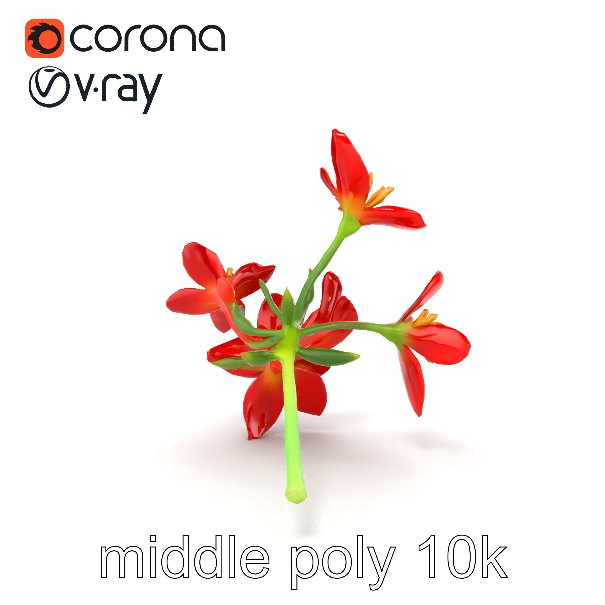 Dwarf Lily Floral Nature Sculpture model pack Low-poly 3D model_15