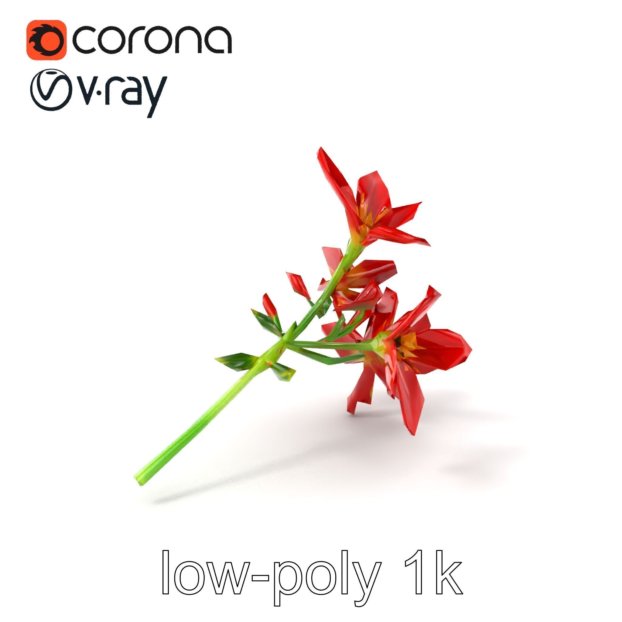 Dwarf Lily Floral Nature Sculpture model pack Low-poly 3D model_5