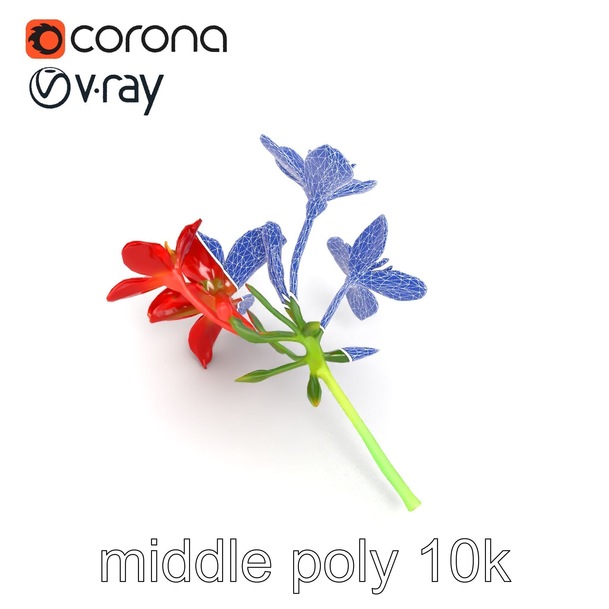 Dwarf Lily Floral Nature Sculpture model pack Low-poly 3D model_27