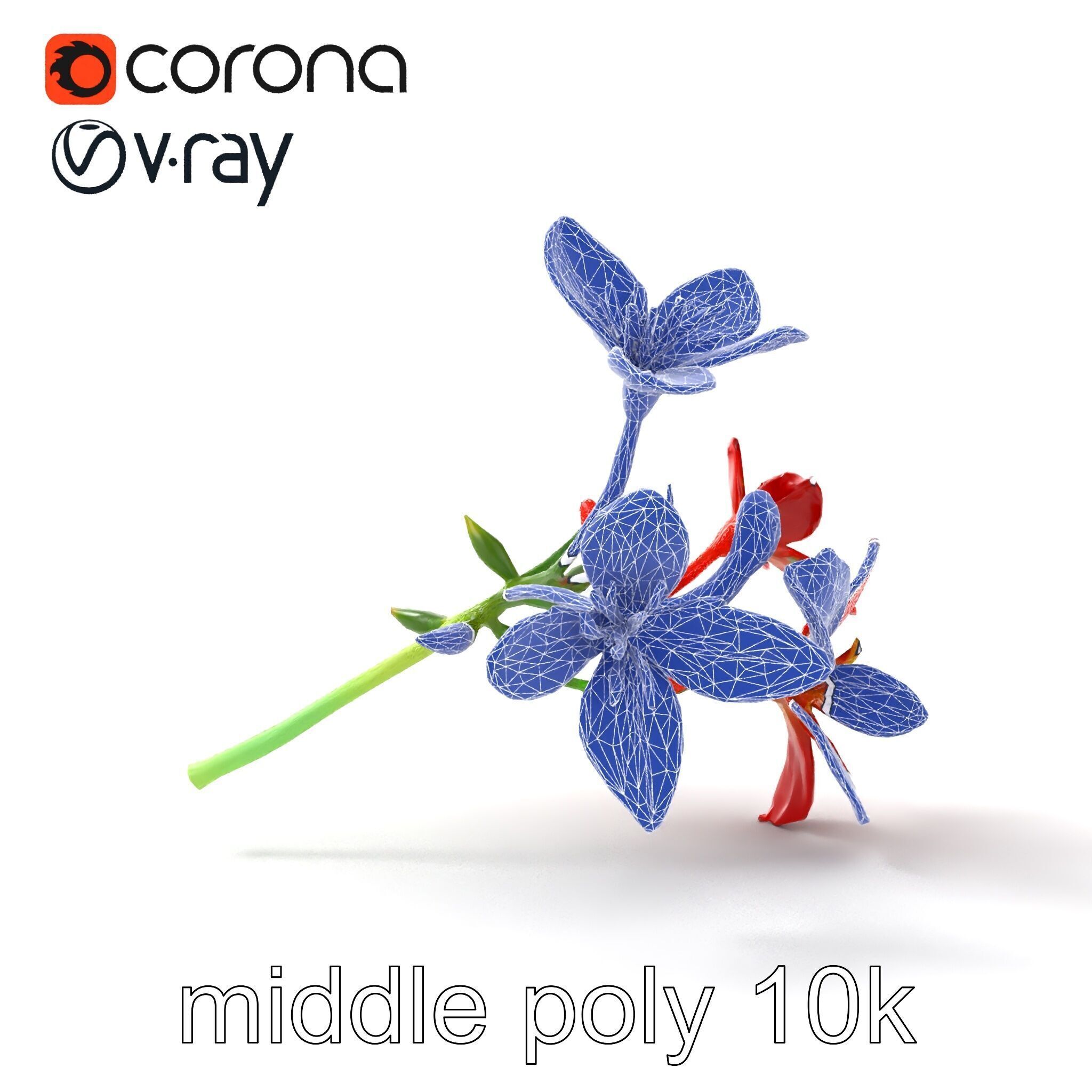 Dwarf Lily Floral Nature Sculpture model pack Low-poly 3D model_28