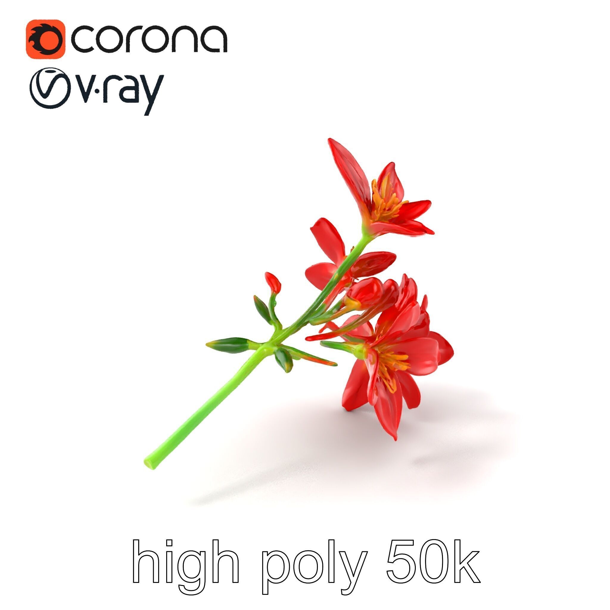 Dwarf Lily Floral Nature Sculpture model pack Low-poly 3D model_2