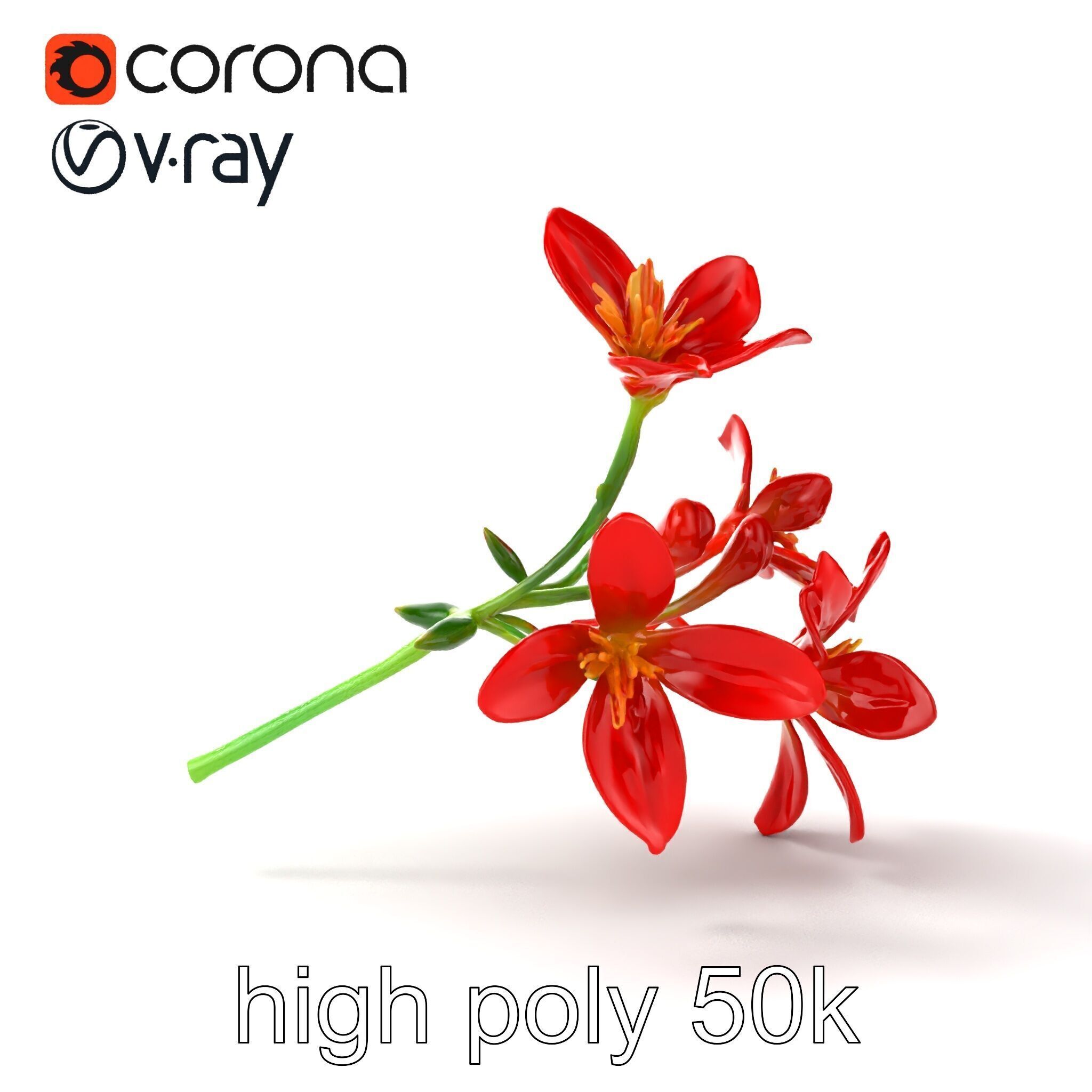 Dwarf Lily Floral Nature Sculpture model pack Low-poly 3D model_16