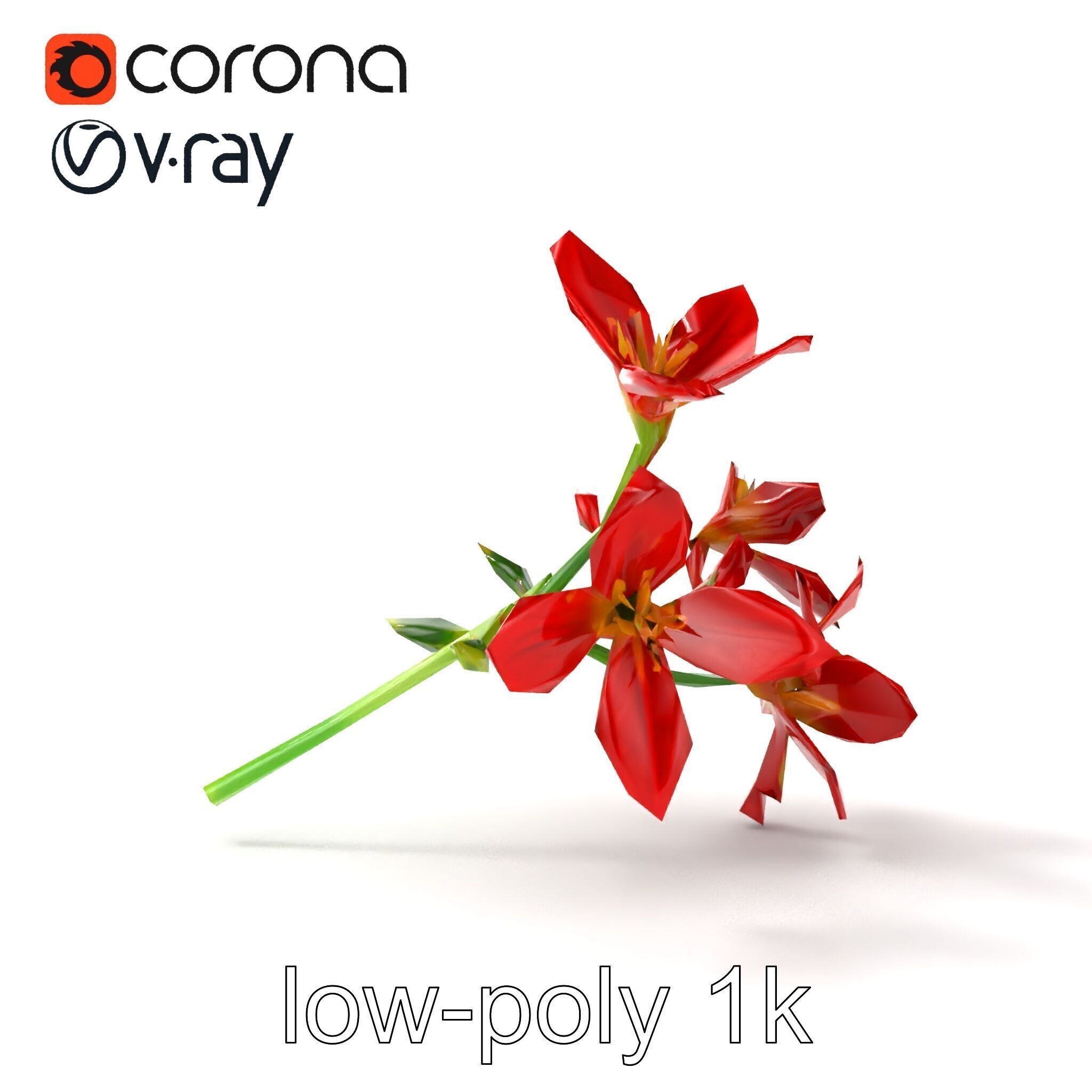 Dwarf Lily Floral Nature Sculpture model pack Low-poly 3D model_26