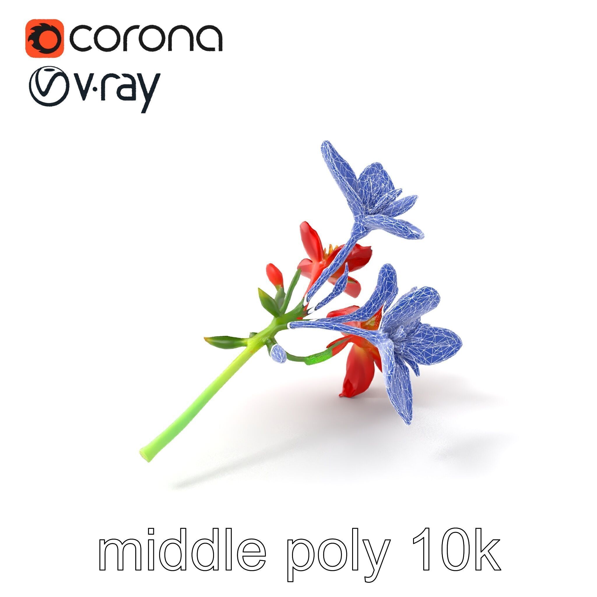 Dwarf Lily Floral Nature Sculpture model pack Low-poly 3D model_6