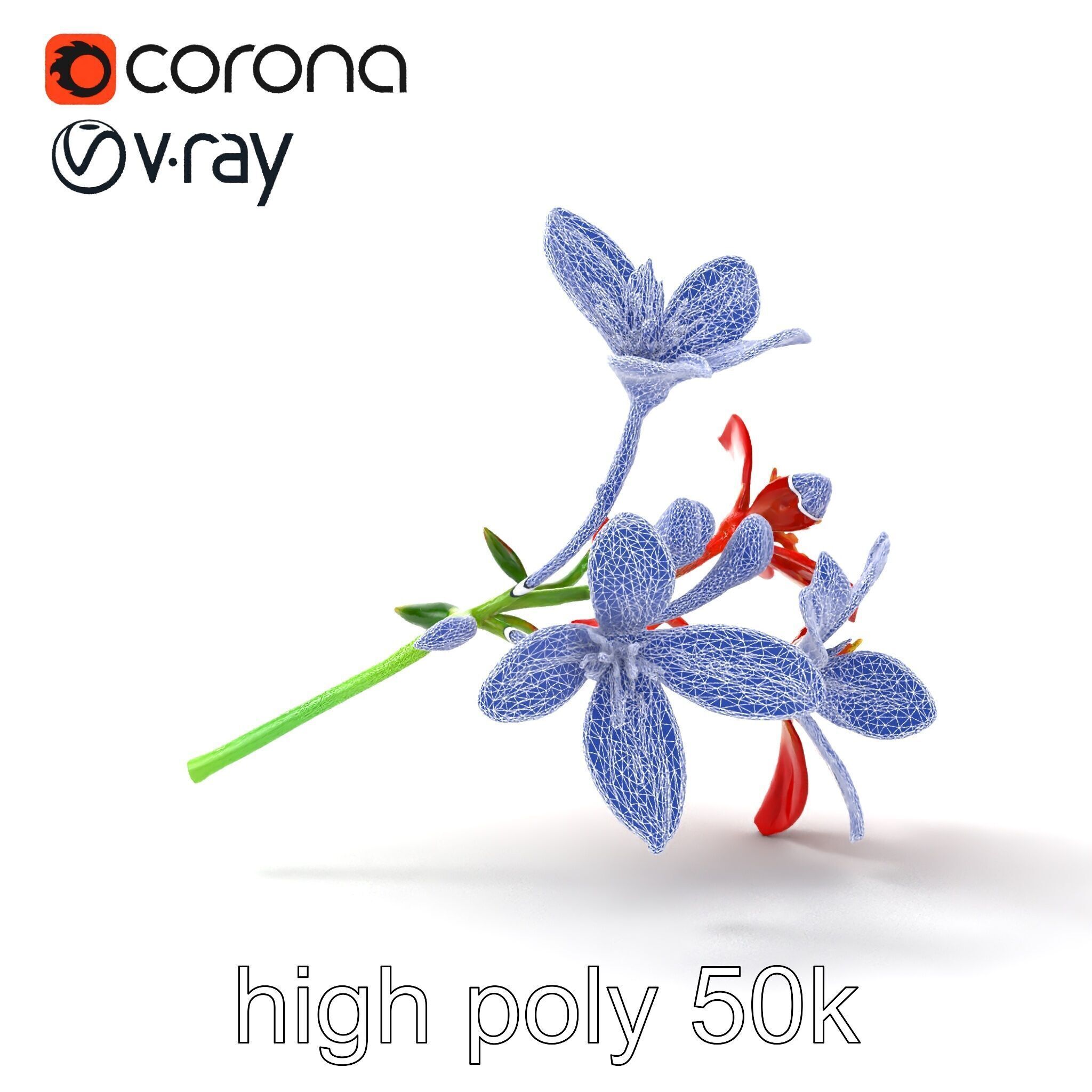 Dwarf Lily Floral Nature Sculpture model pack Low-poly 3D model_25