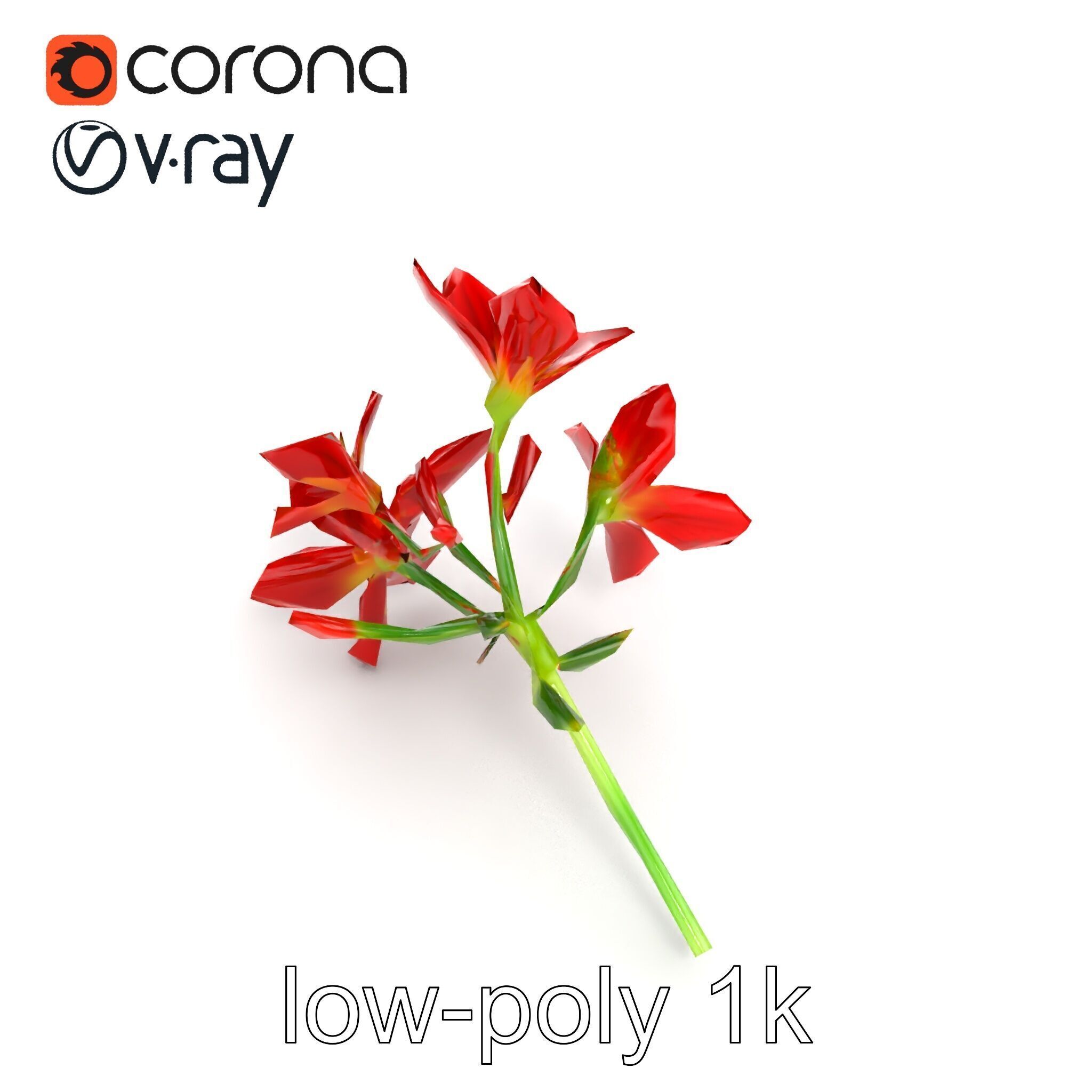 Dwarf Lily Floral Nature Sculpture model pack Low-poly 3D model_21