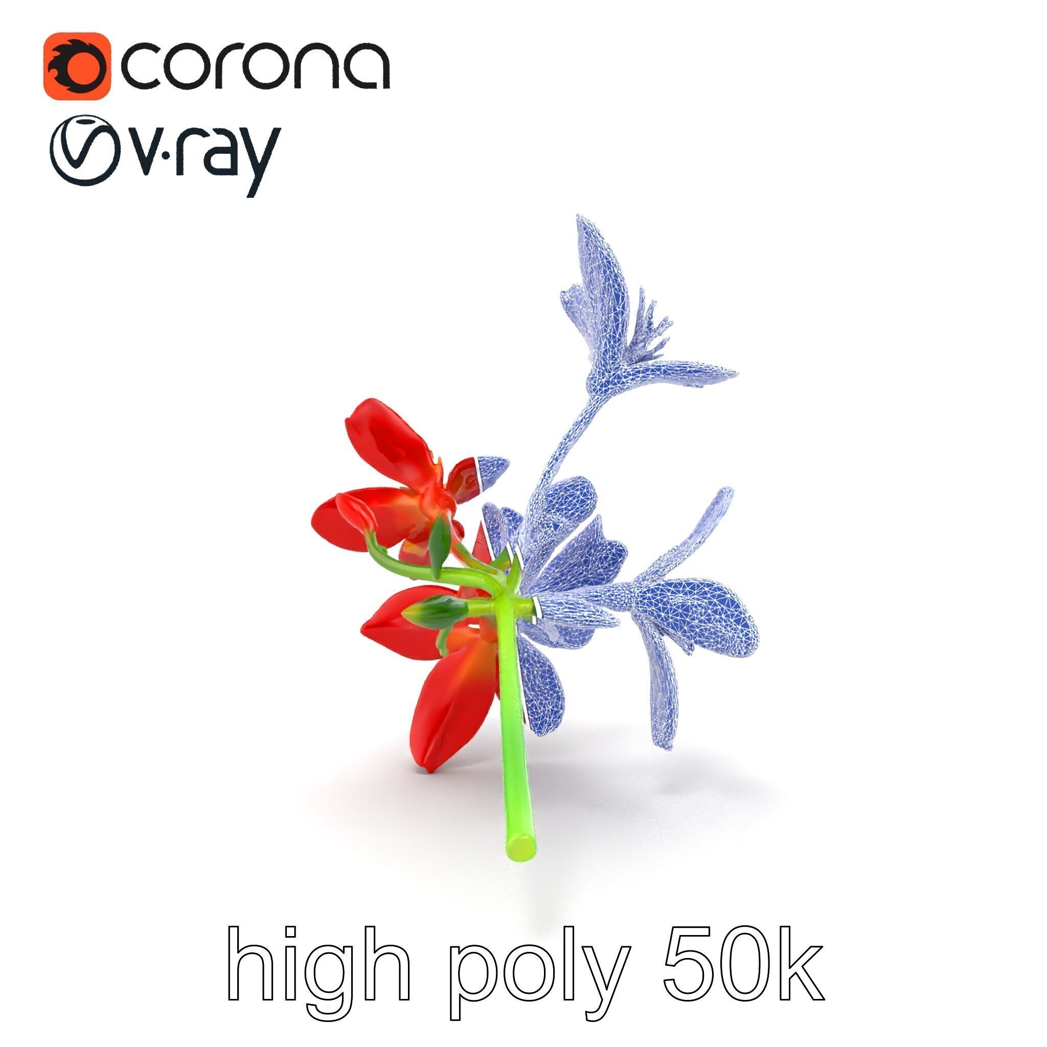 Dwarf Lily Floral Nature Sculpture model pack Low-poly 3D model_32