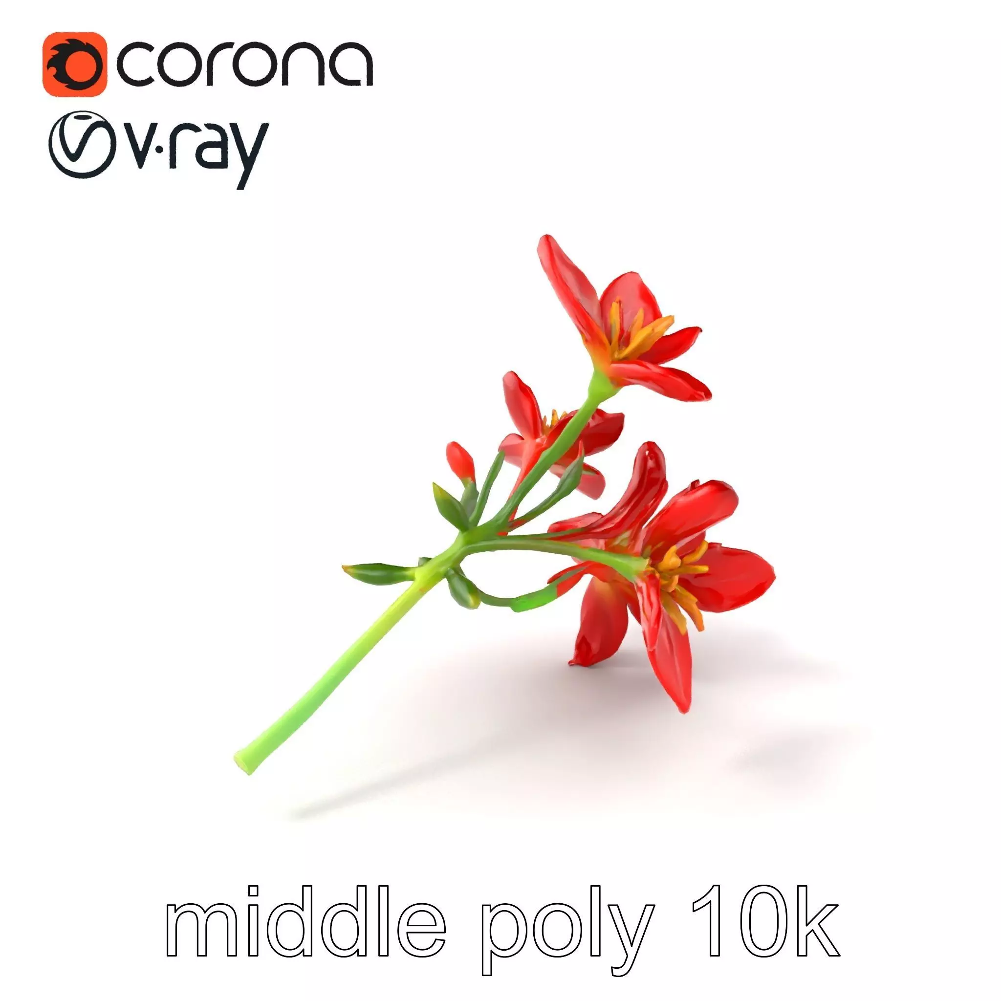 Dwarf Lily Floral Nature Sculpture model pack Low-poly 3D model_0