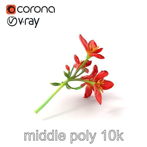 Dwarf Lily Floral Nature Sculpture model pack Low-poly 3D model