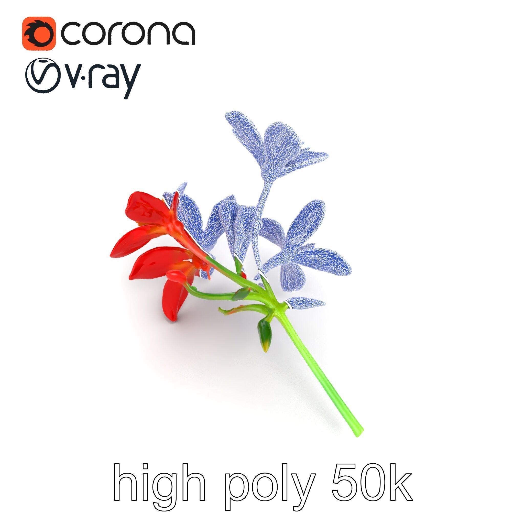 Dwarf Lily Floral Nature Sculpture model pack Low-poly 3D model_13