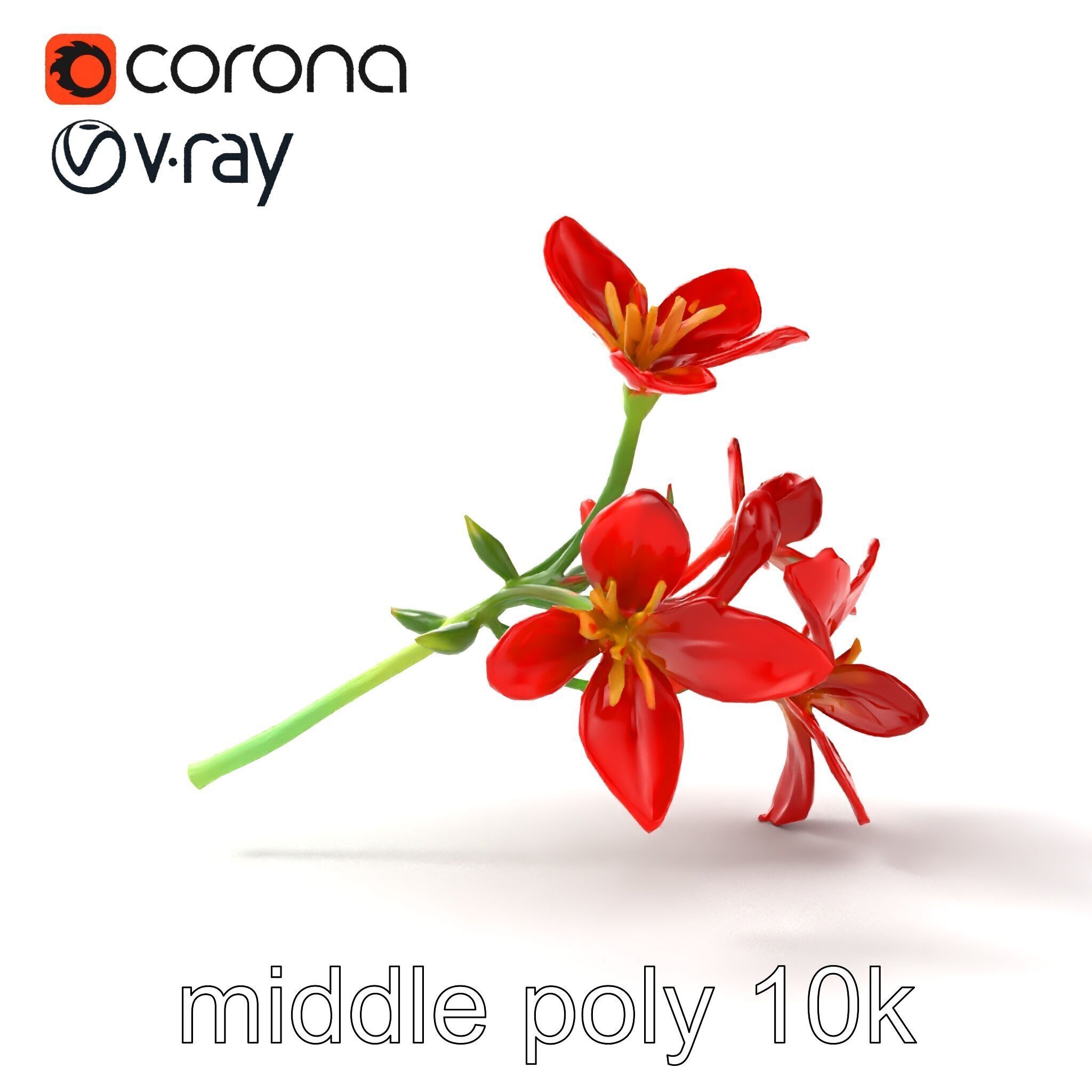 Dwarf Lily Floral Nature Sculpture model pack Low-poly 3D model_23