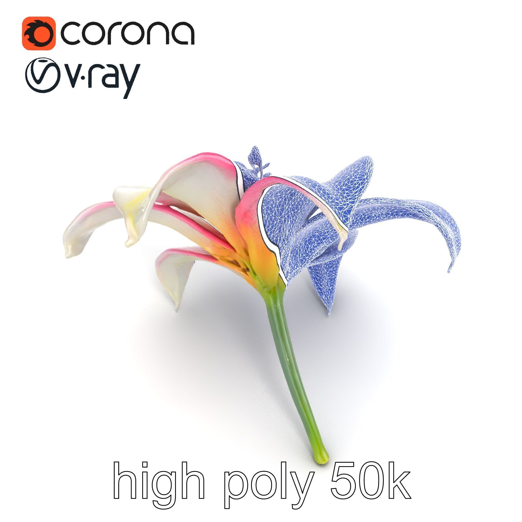 Regal Lily Flower Realistic Texture model pack Low-poly 3D model_30