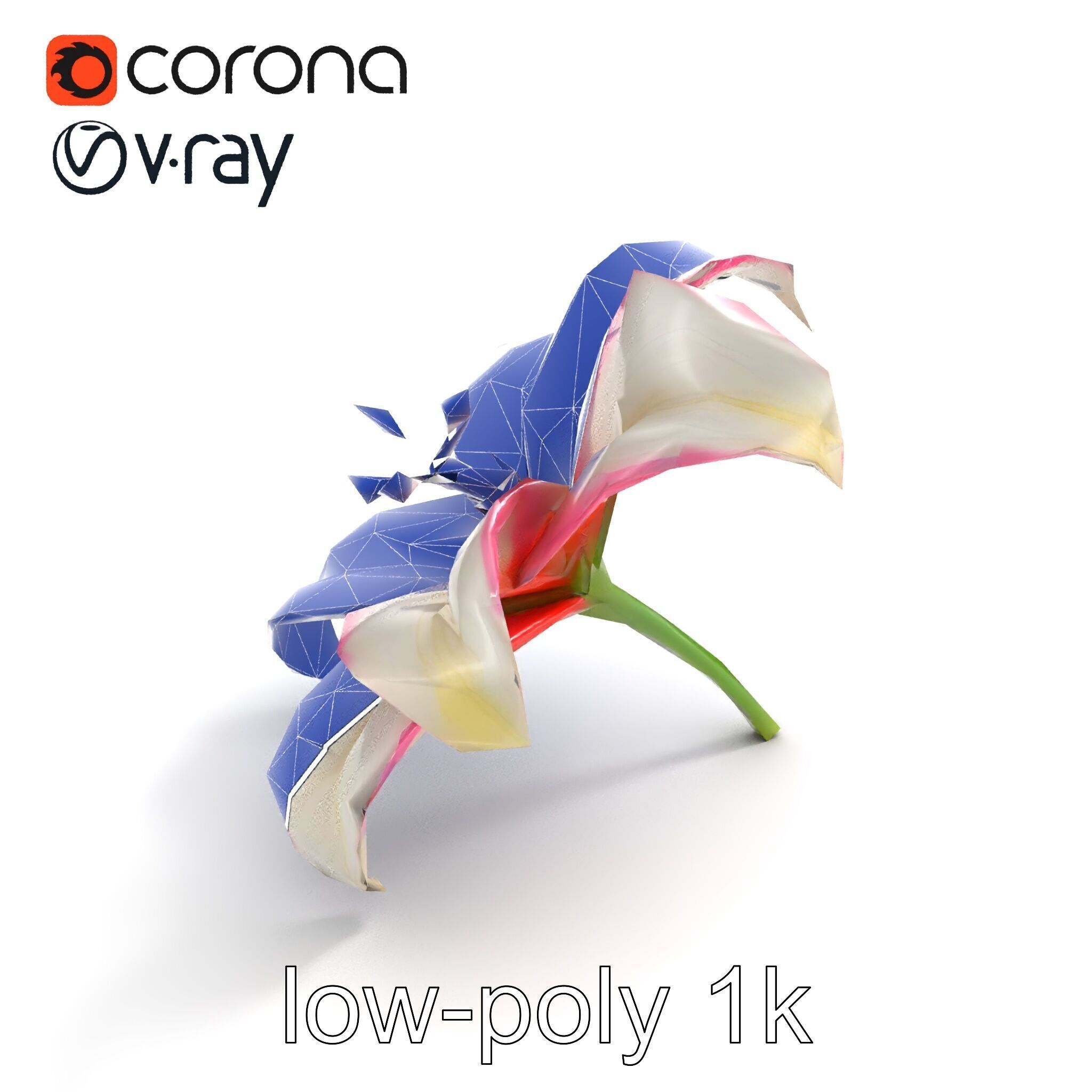 Regal Lily Flower Realistic Texture model pack Low-poly 3D model_28