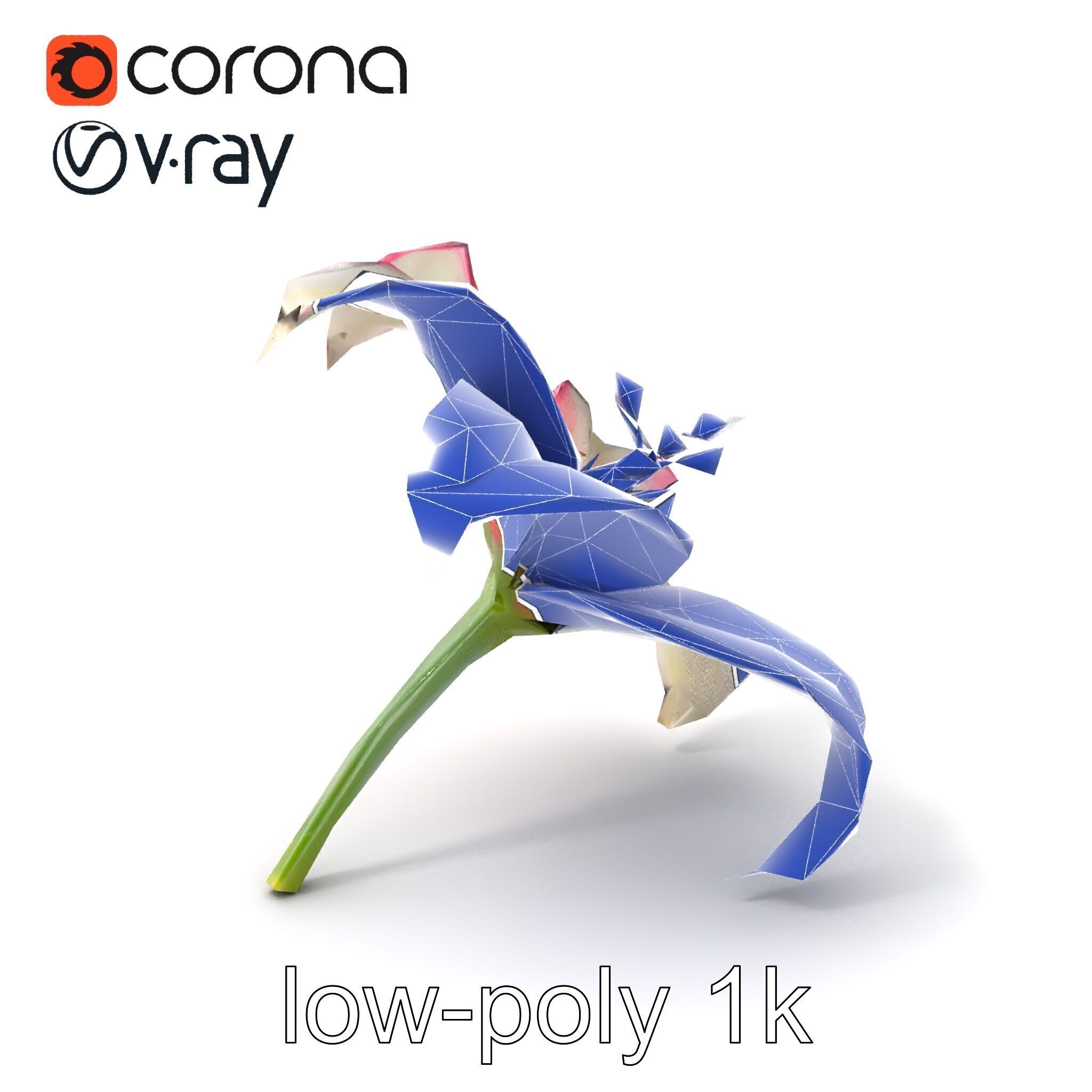 Regal Lily Flower Realistic Texture model pack Low-poly 3D model_6