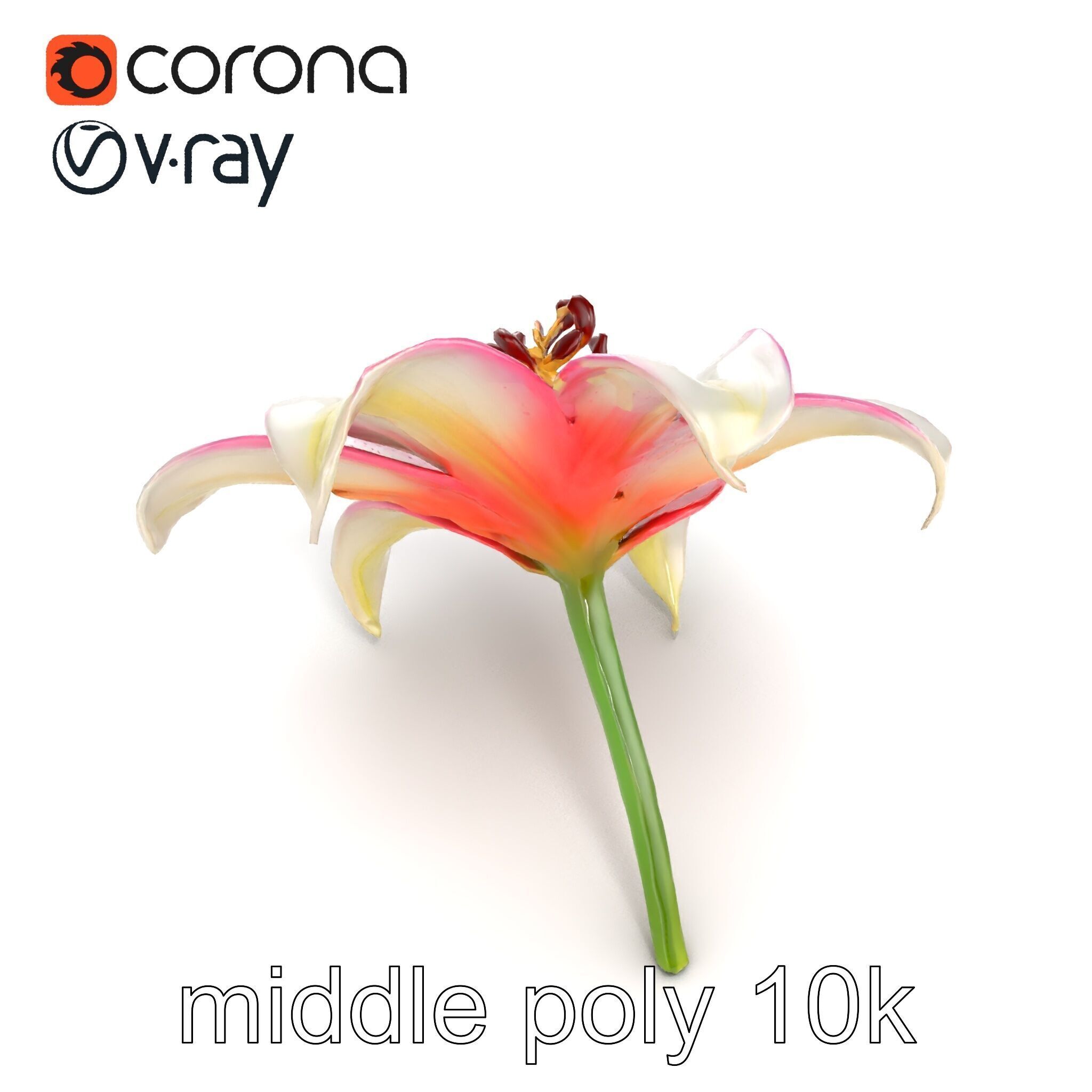 Regal Lily Flower Realistic Texture model pack Low-poly 3D model_11