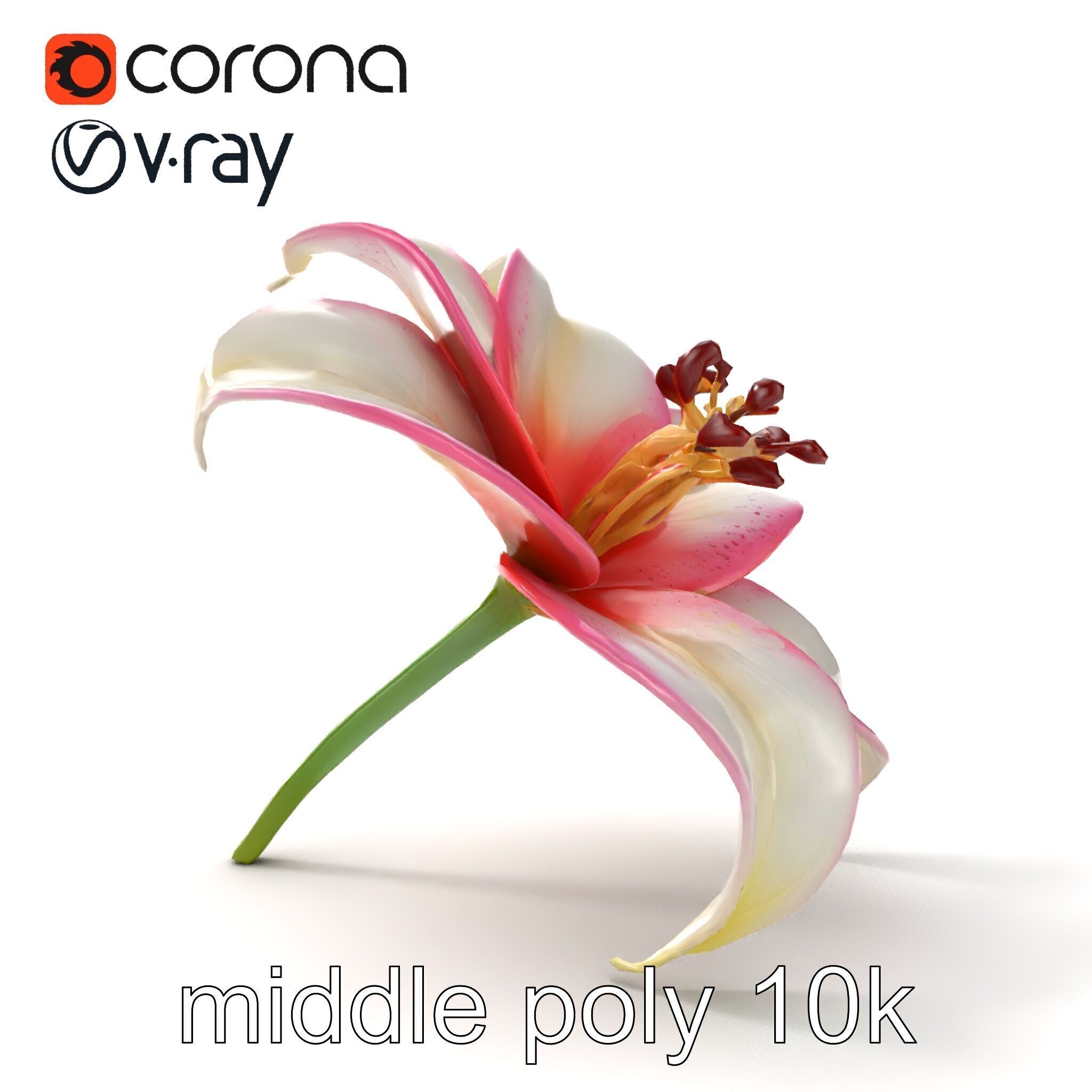 Regal Lily Flower Realistic Texture model pack Low-poly 3D model_18
