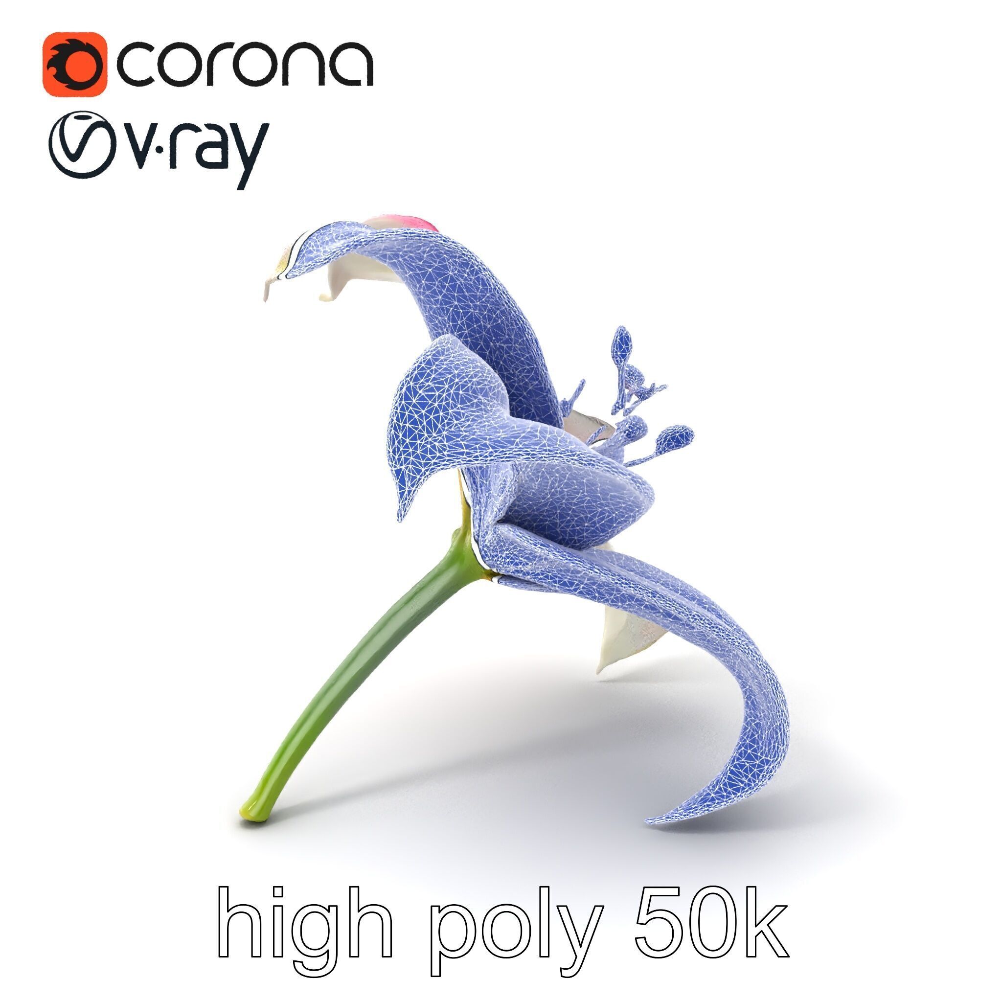 Regal Lily Flower Realistic Texture model pack Low-poly 3D model_1