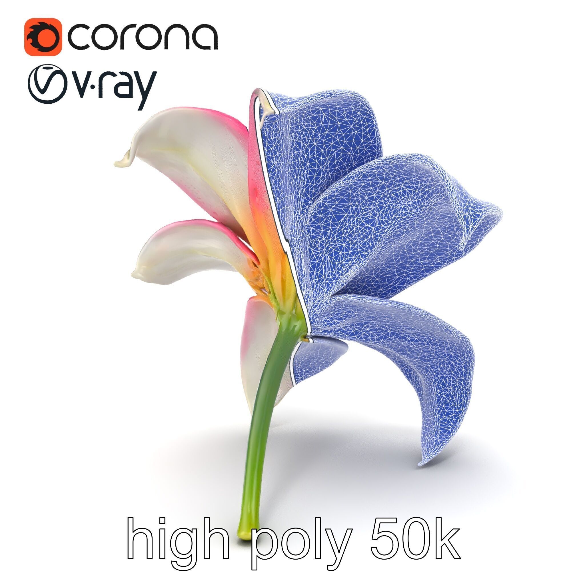 Regal Lily Flower Realistic Texture model pack Low-poly 3D model_19