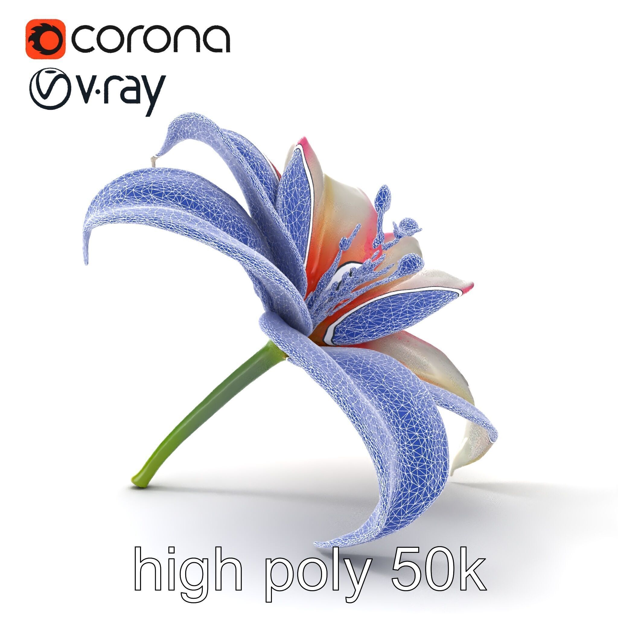 Regal Lily Flower Realistic Texture model pack Low-poly 3D model_27