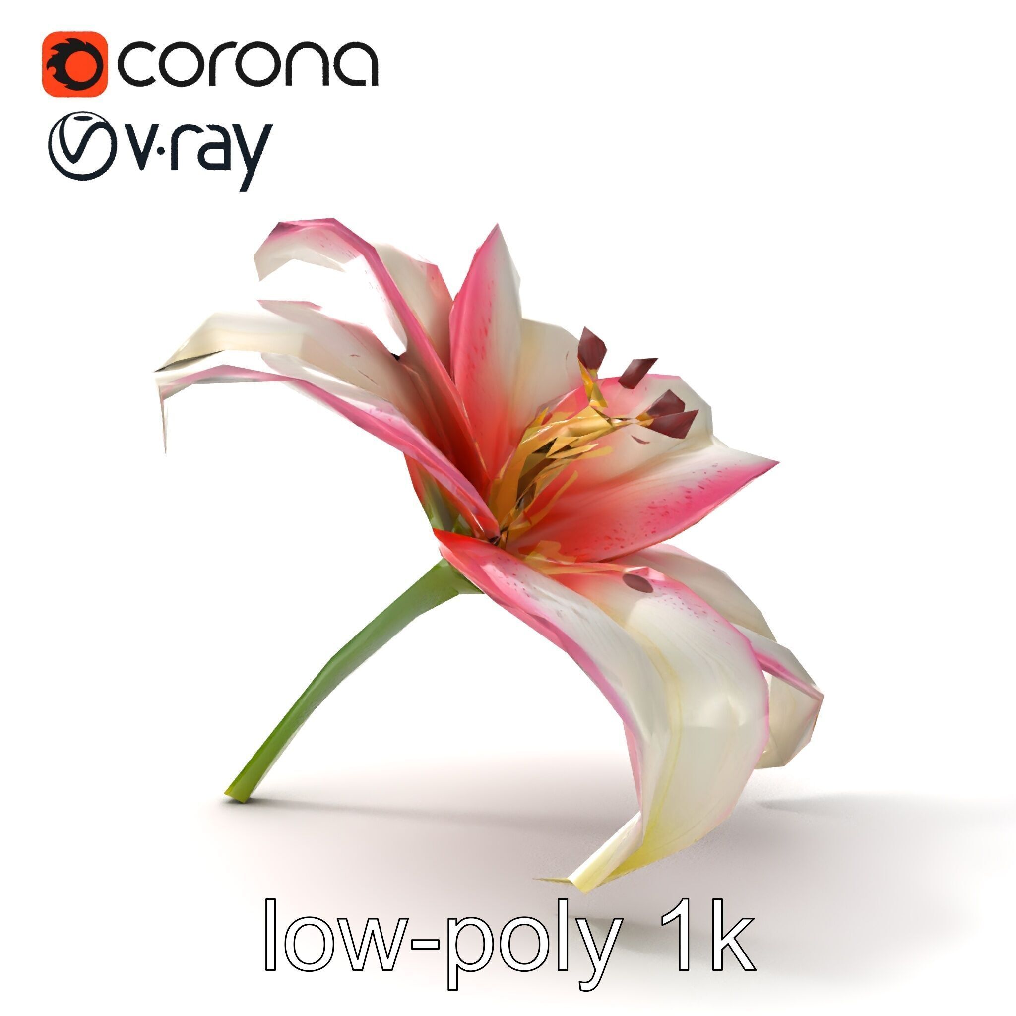 Regal Lily Flower Realistic Texture model pack Low-poly 3D model_16