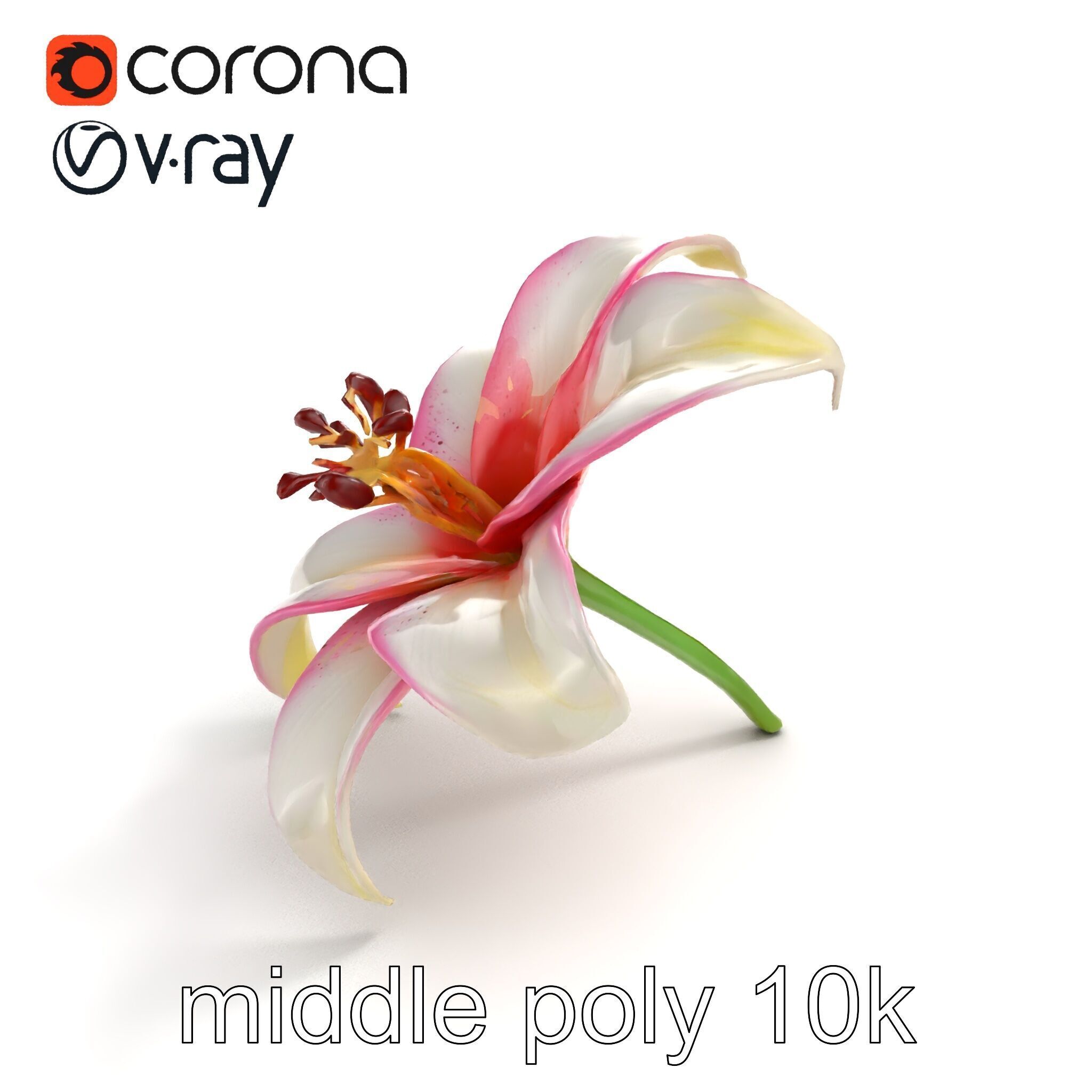 Regal Lily Flower Realistic Texture model pack Low-poly 3D model_7