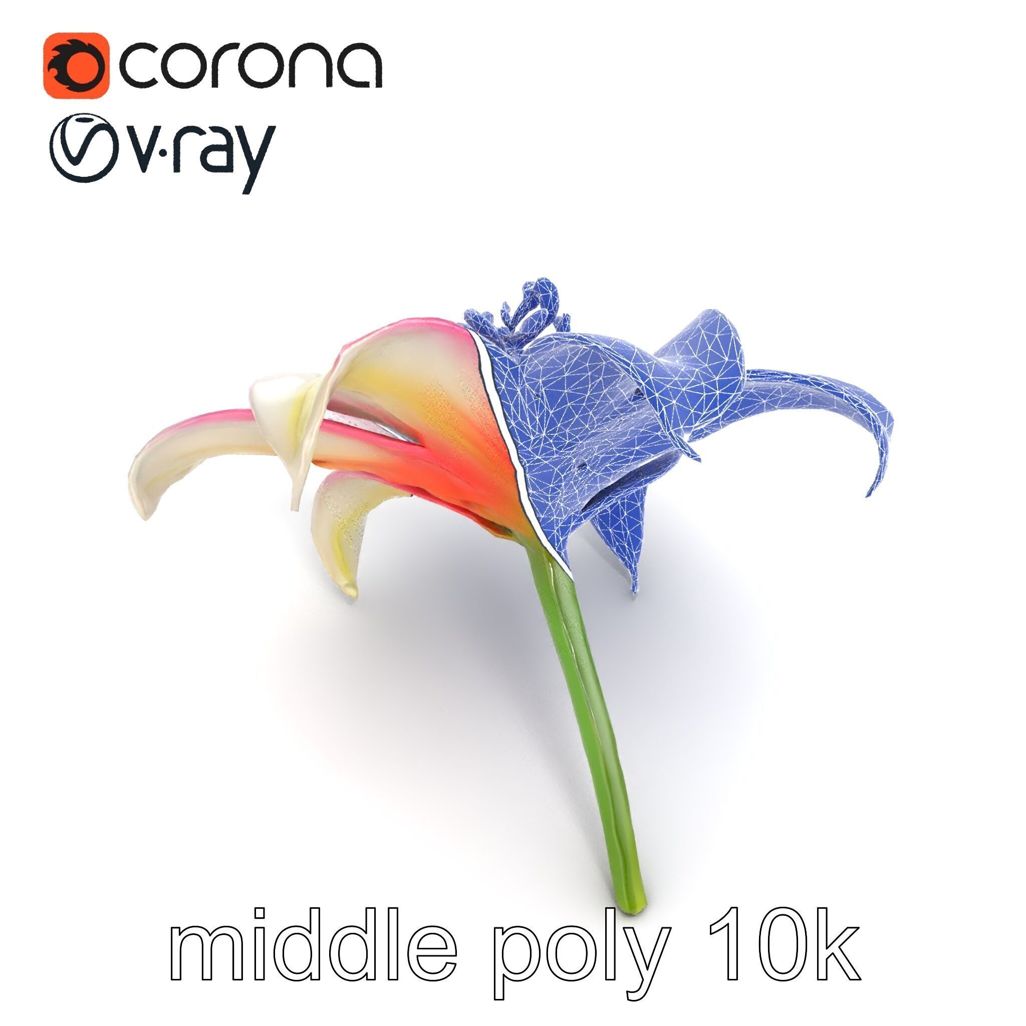 Regal Lily Flower Realistic Texture model pack Low-poly 3D model_17