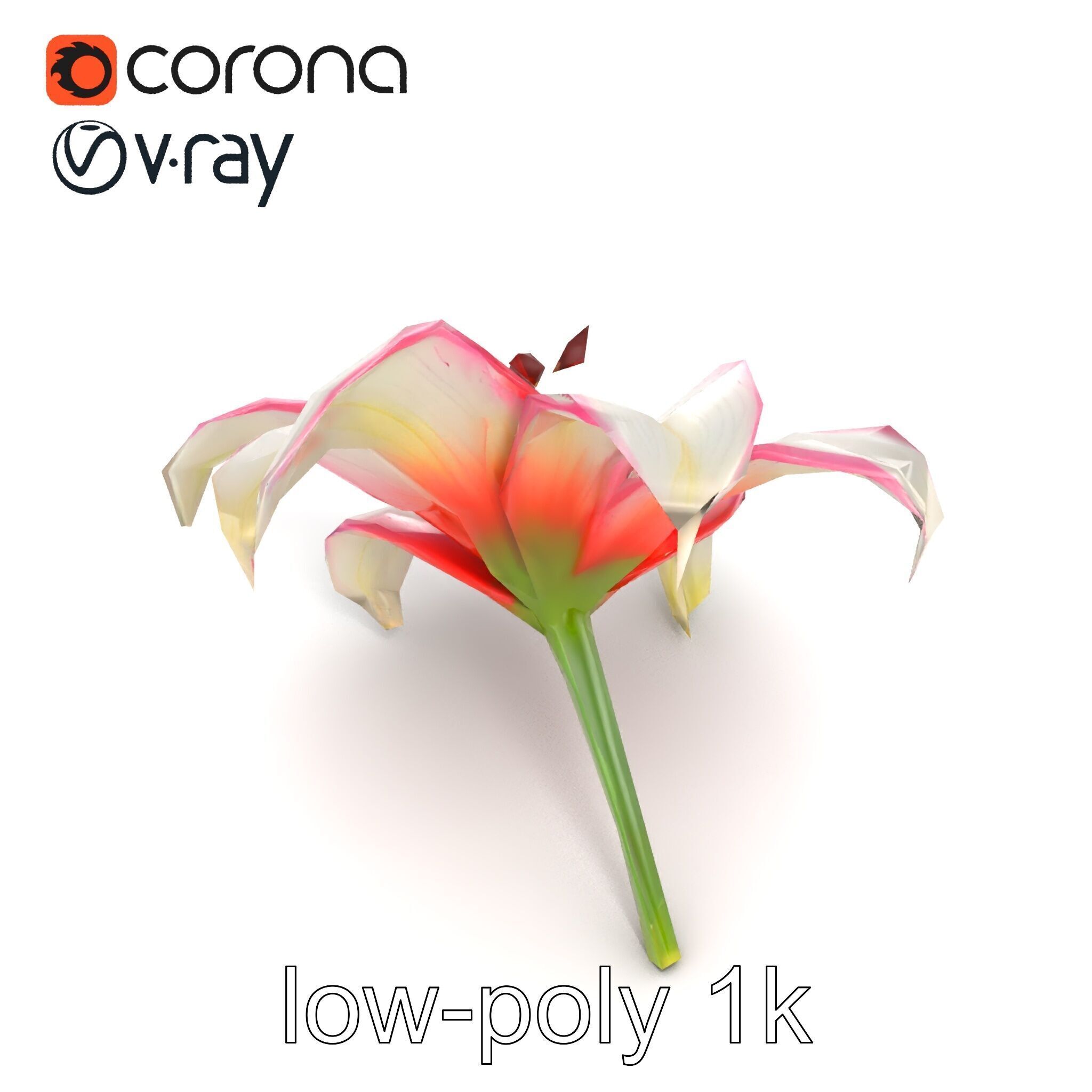 Regal Lily Flower Realistic Texture model pack Low-poly 3D model_12