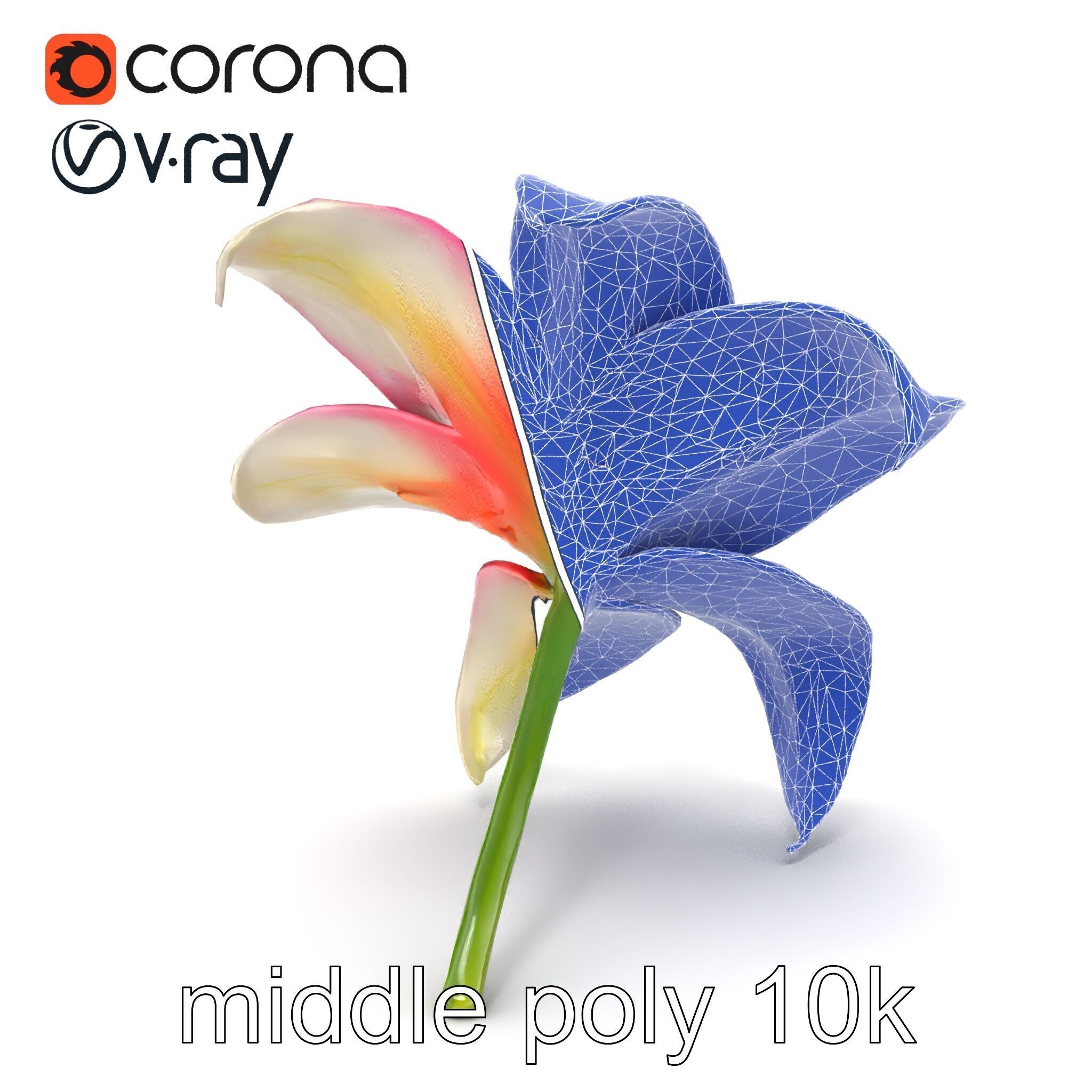 Regal Lily Flower Realistic Texture model pack Low-poly 3D model_24