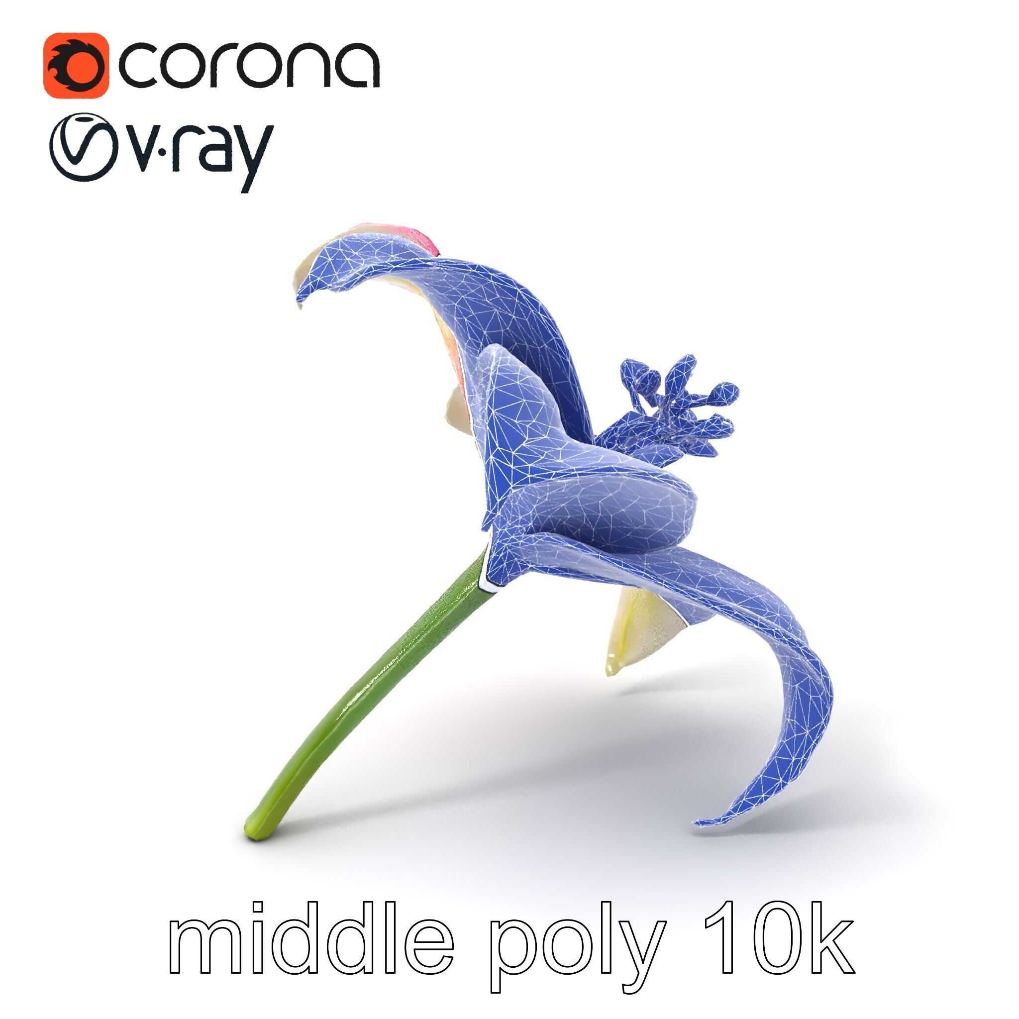 Regal Lily Flower Realistic Texture model pack Low-poly 3D model_5