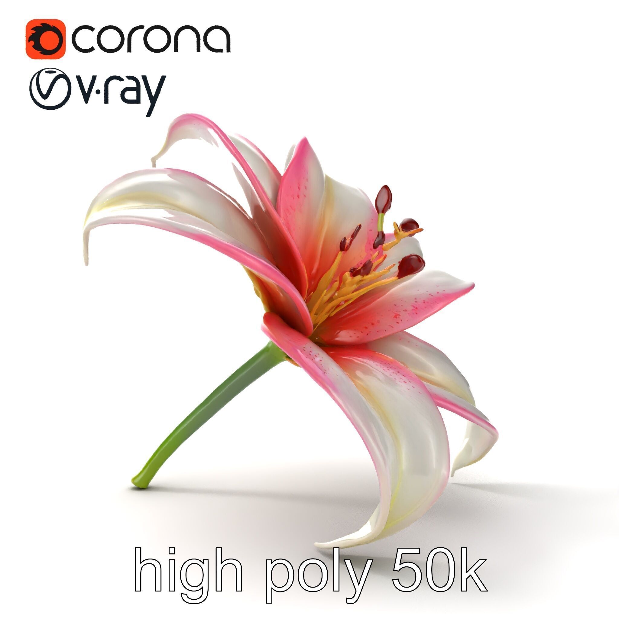 Regal Lily Flower Realistic Texture model pack Low-poly 3D model_29