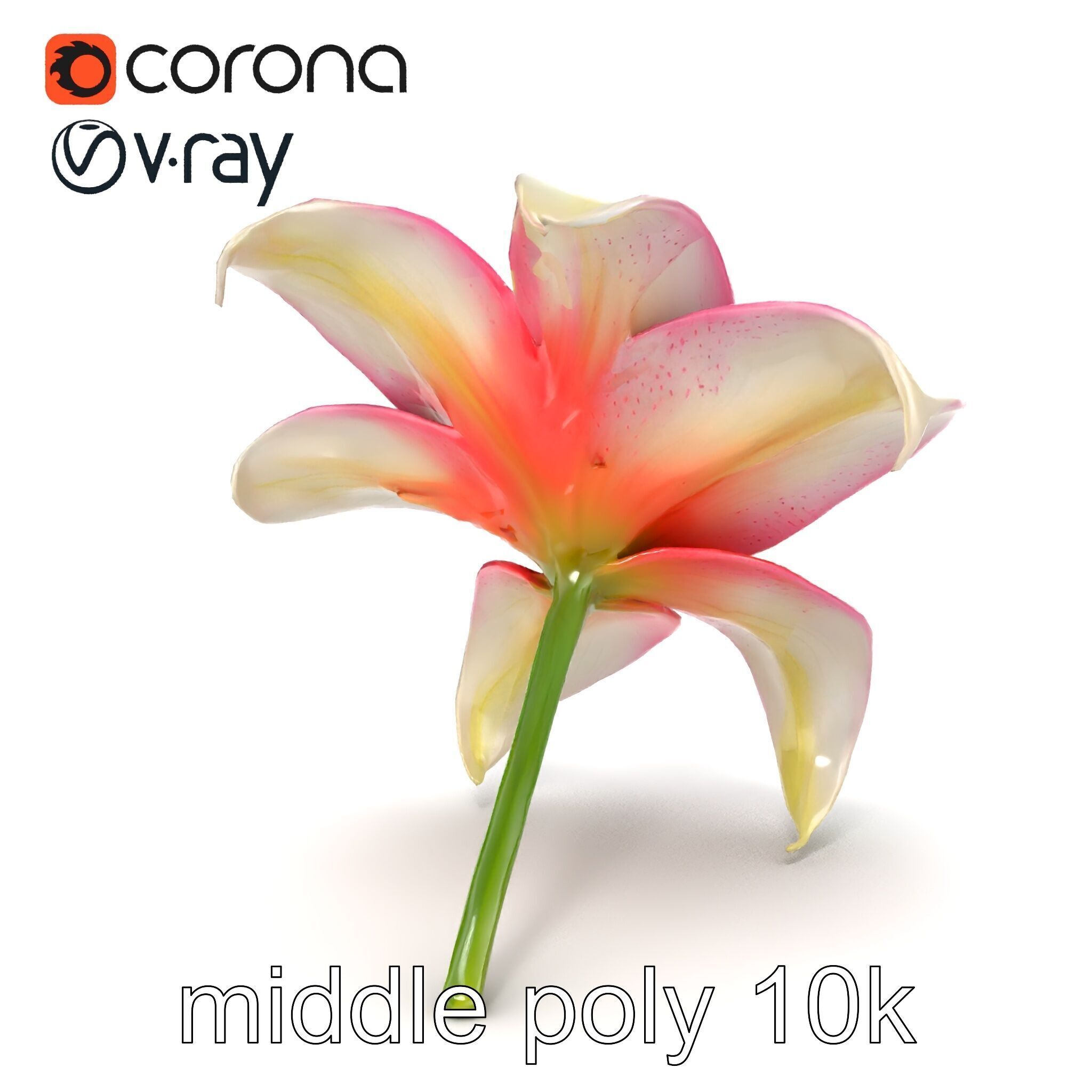 Regal Lily Flower Realistic Texture model pack Low-poly 3D model_23