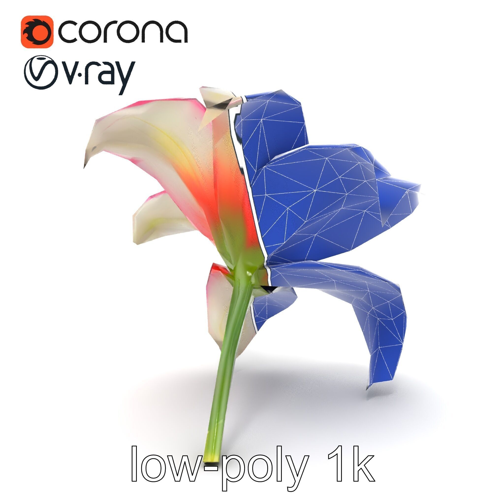 Regal Lily Flower Realistic Texture model pack Low-poly 3D model_13