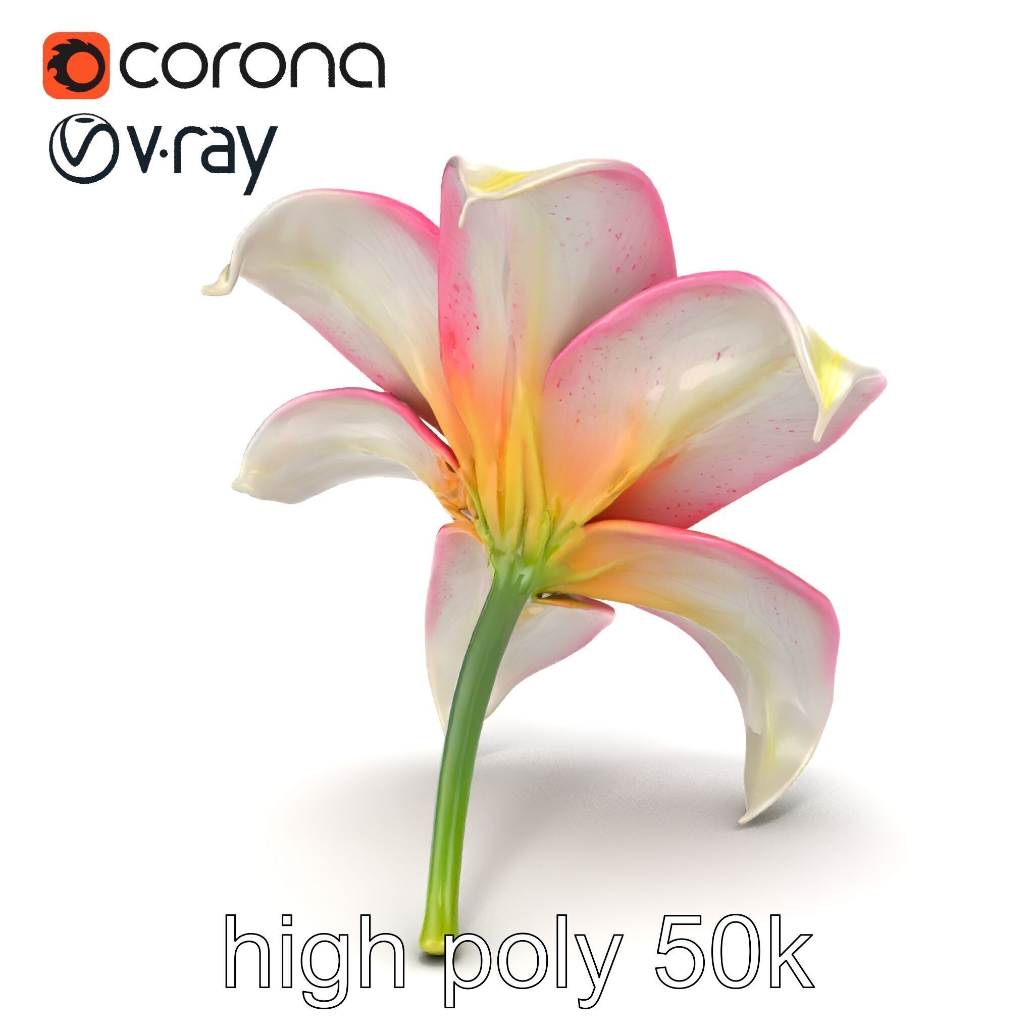 Regal Lily Flower Realistic Texture model pack Low-poly 3D model_21