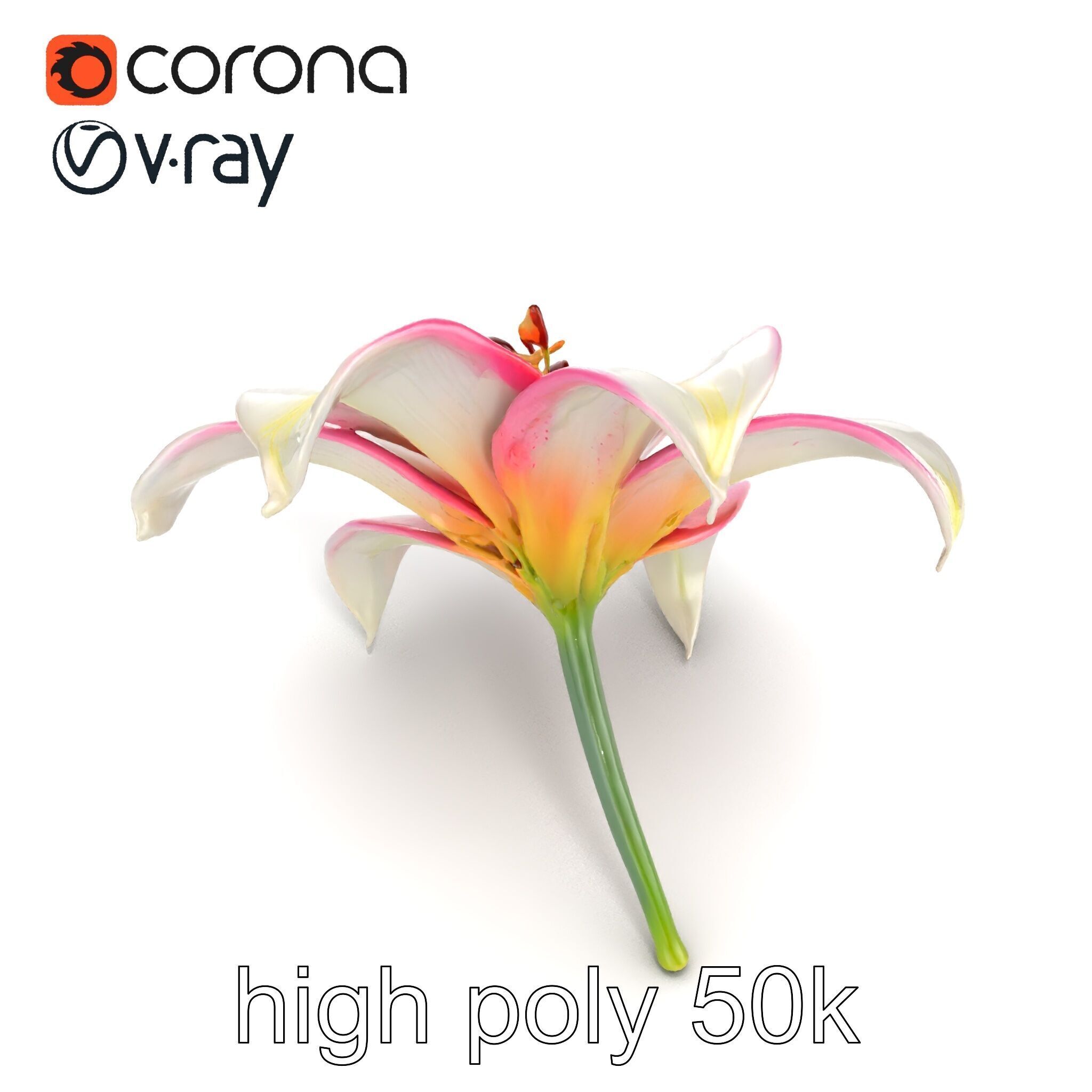 Regal Lily Flower Realistic Texture model pack Low-poly 3D model_20