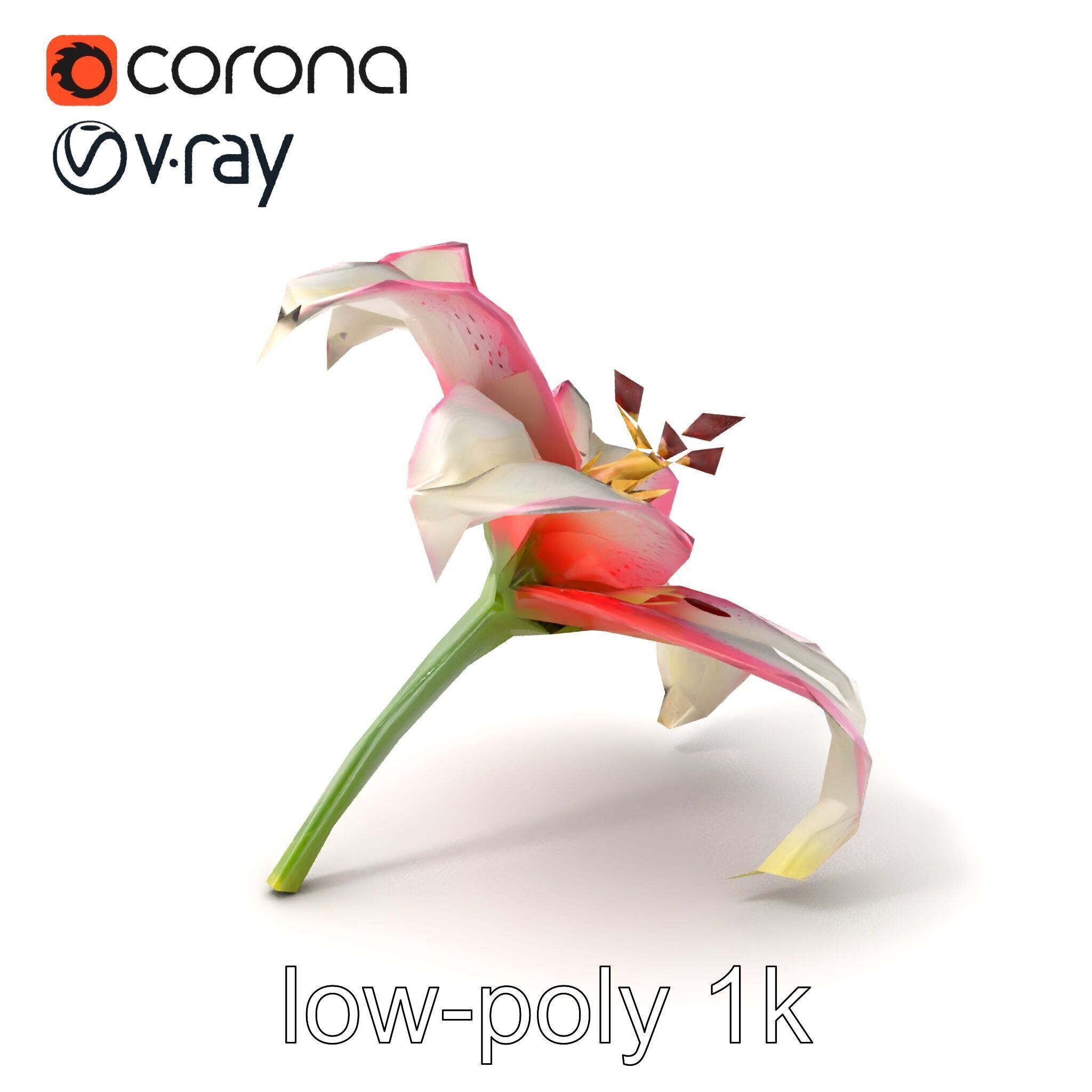 Regal Lily Flower Realistic Texture model pack Low-poly 3D model_4