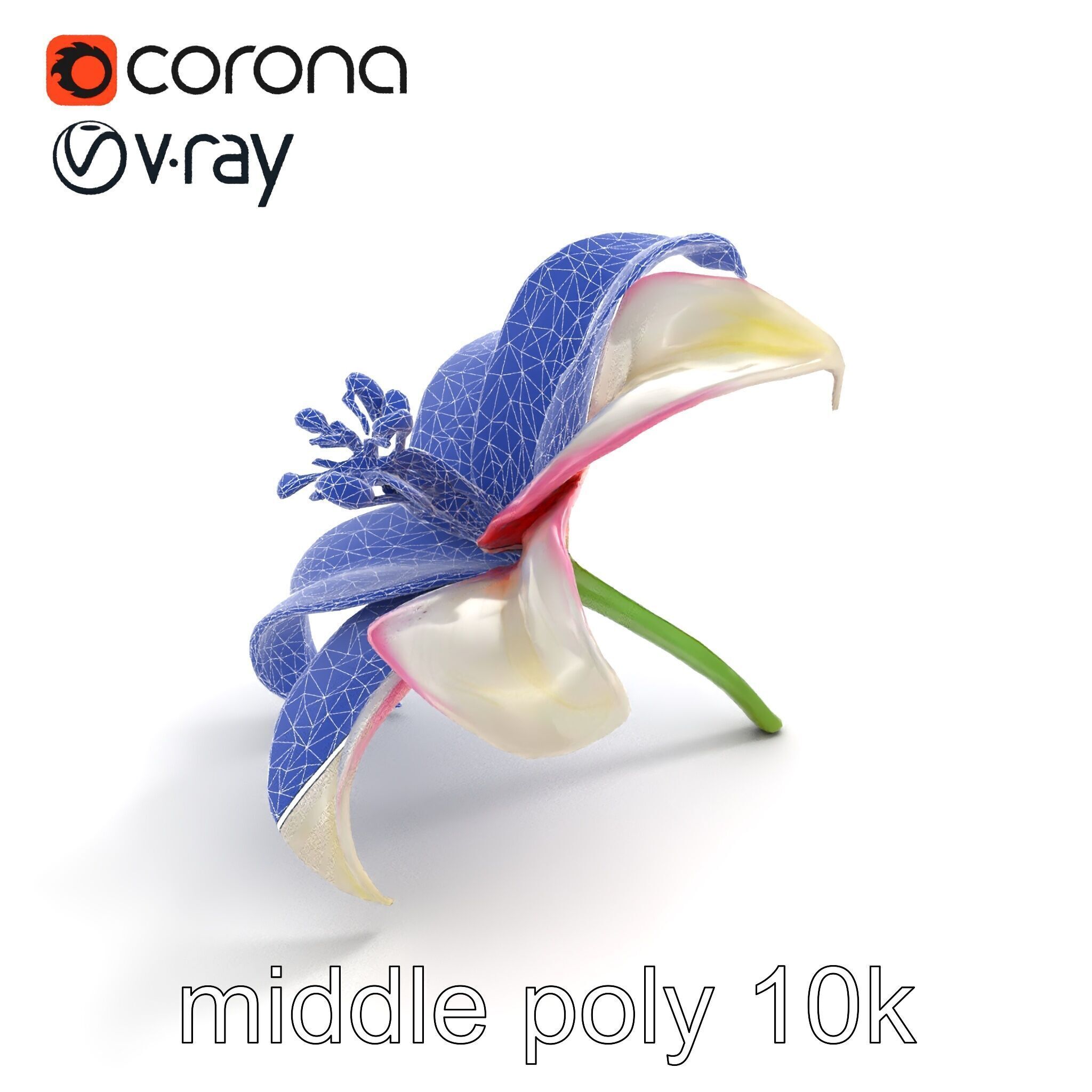Regal Lily Flower Realistic Texture model pack Low-poly 3D model_10