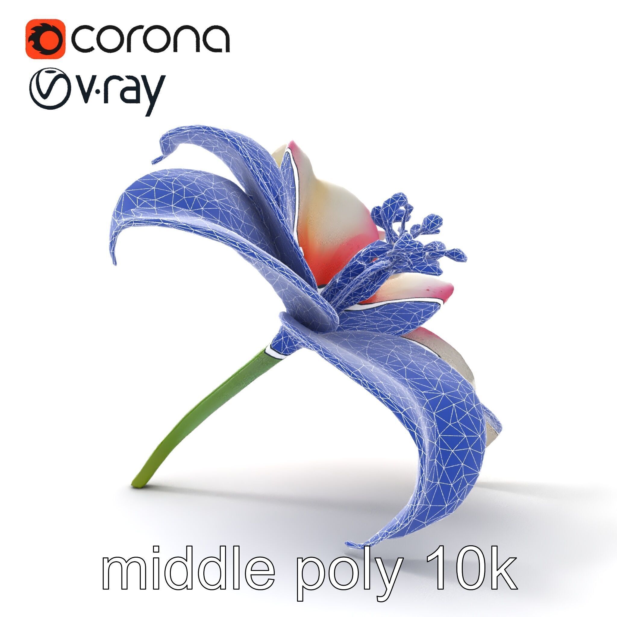 Regal Lily Flower Realistic Texture model pack Low-poly 3D model_22