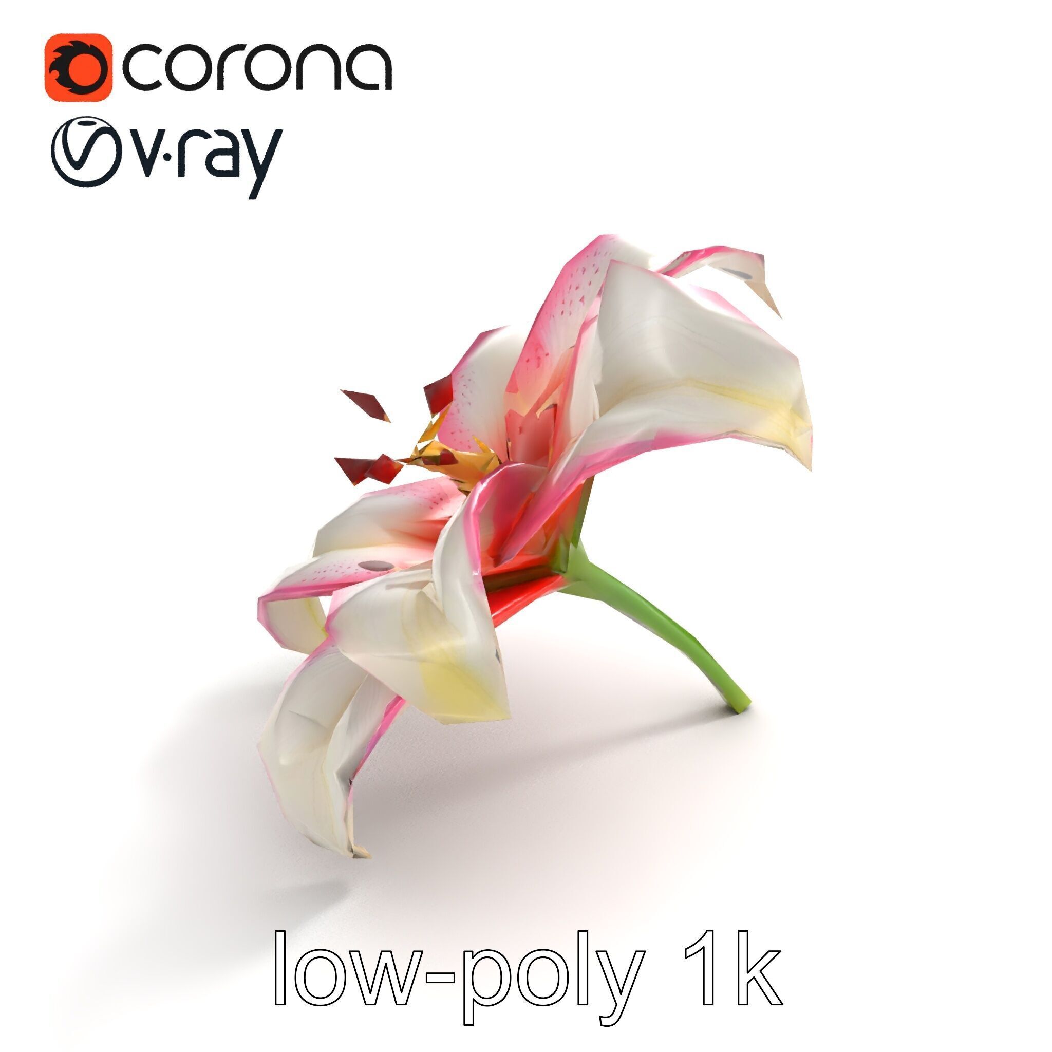 Regal Lily Flower Realistic Texture model pack Low-poly 3D model_8