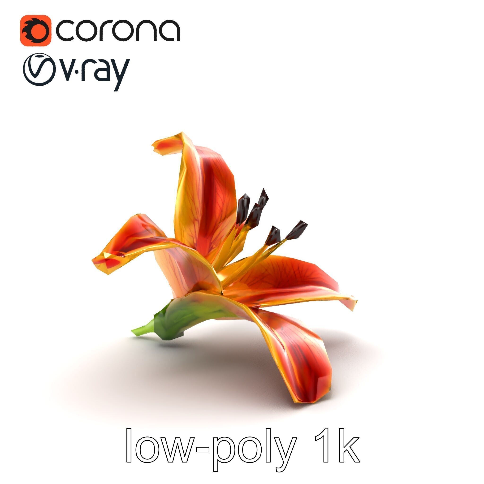 Vibrant Asiatique Lily Flower 3D model pack Low-poly 3D model_24